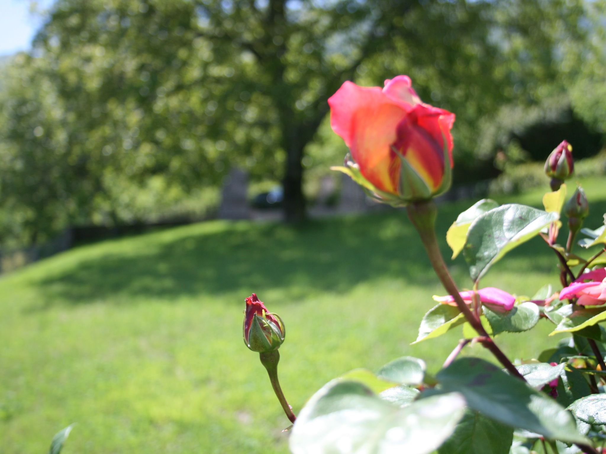 Mit Wasserblick-Inside