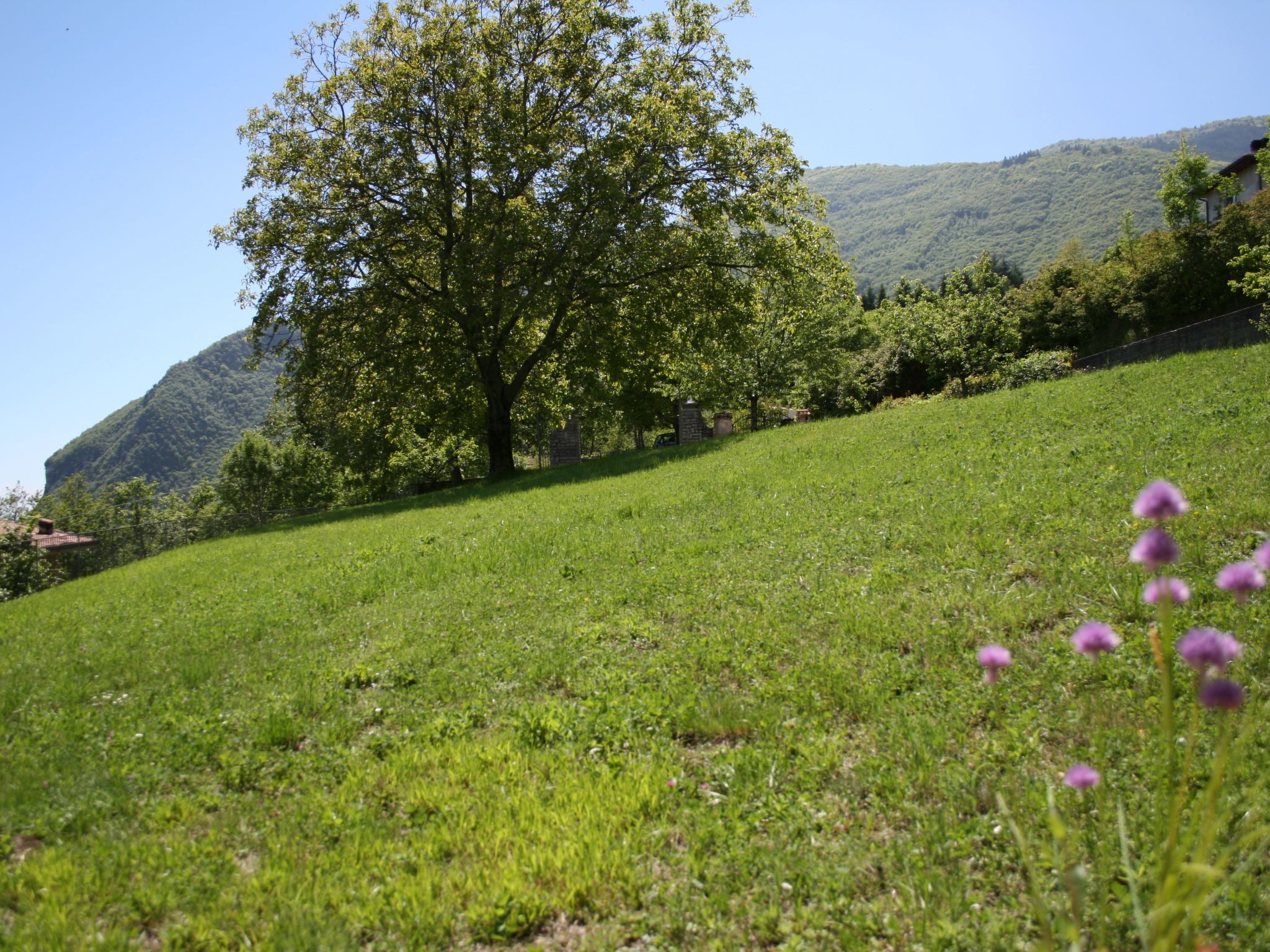 Mit Wasserblick-Inside