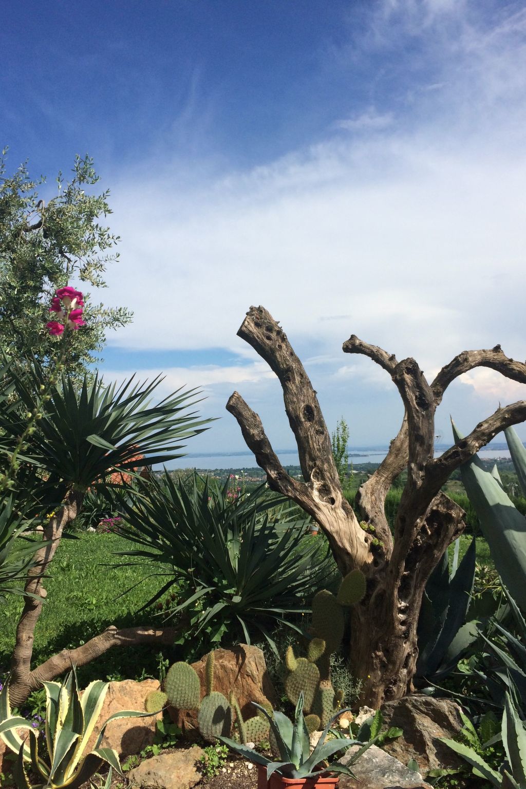 Wohnung mit Blick auf den Gardasee-Binnen