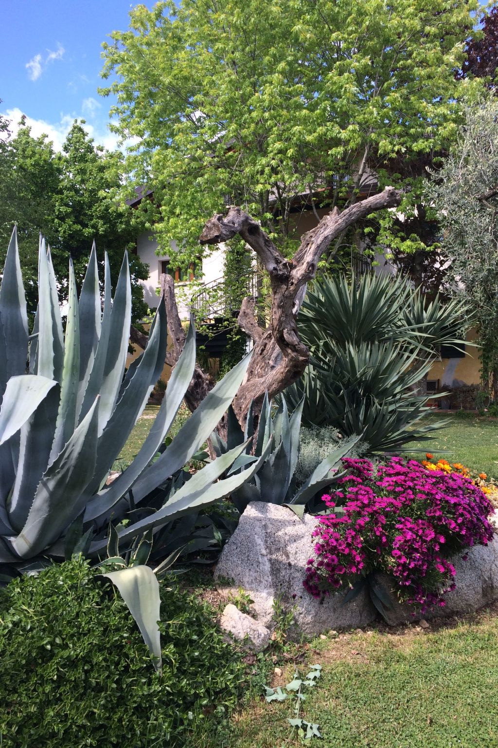 Wohnung mit Blick auf den Gardasee-Binnen