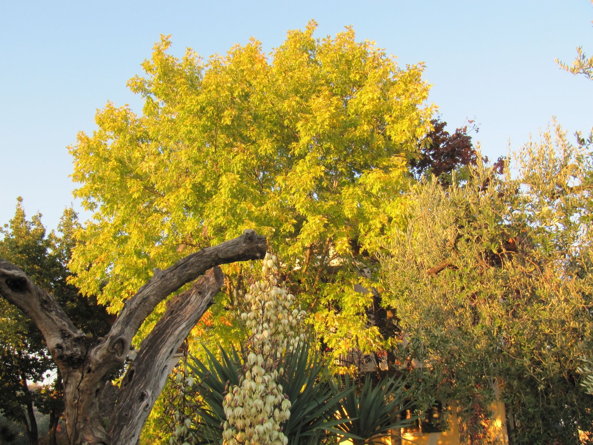 Wohnung mit Blick auf den Gardasee-Binnen