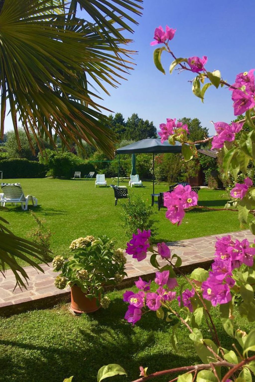 Inmitten von Blumen N.2-Image-tags.info