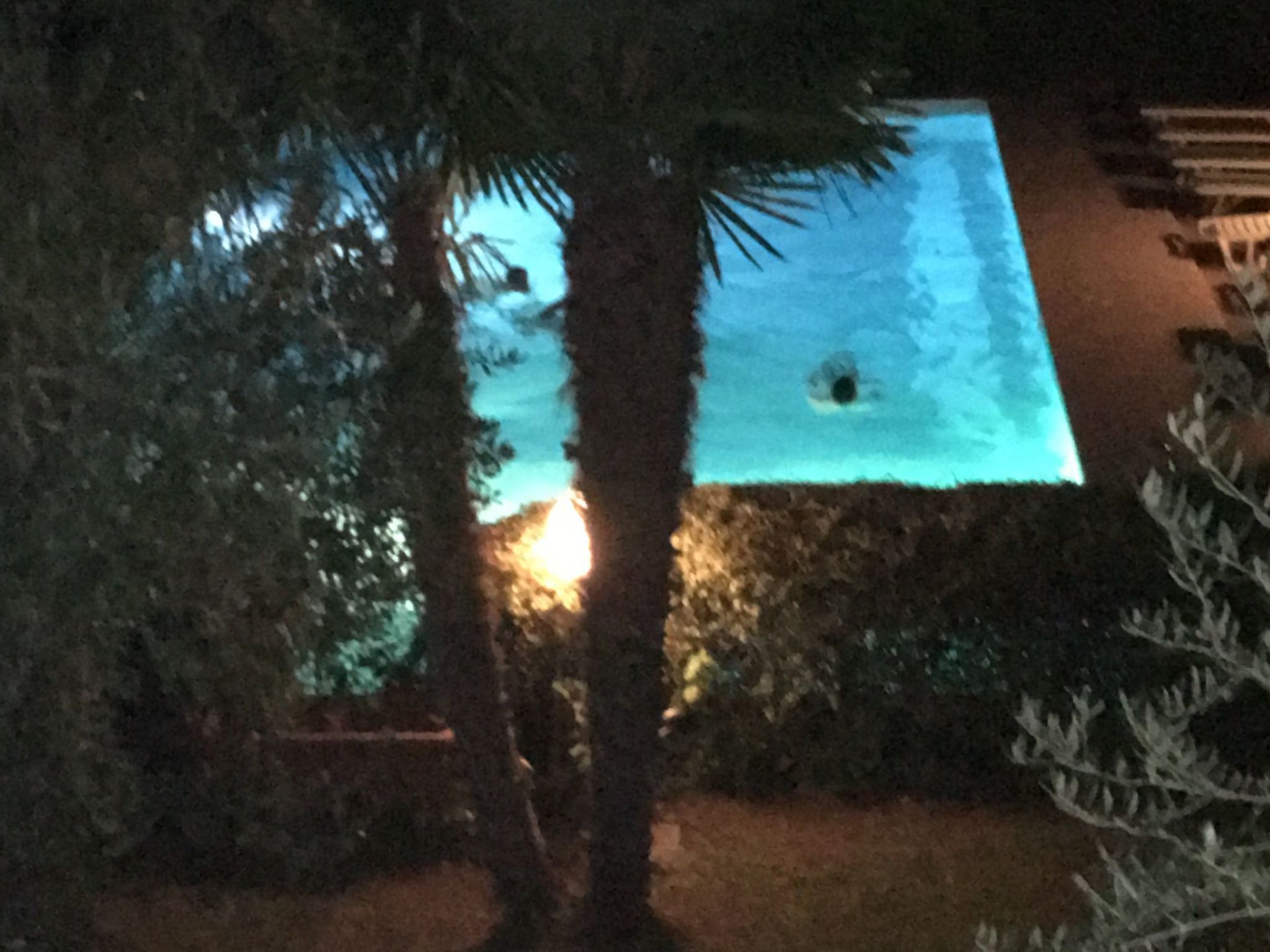 Inmitten von Blumen N.2-Dehors