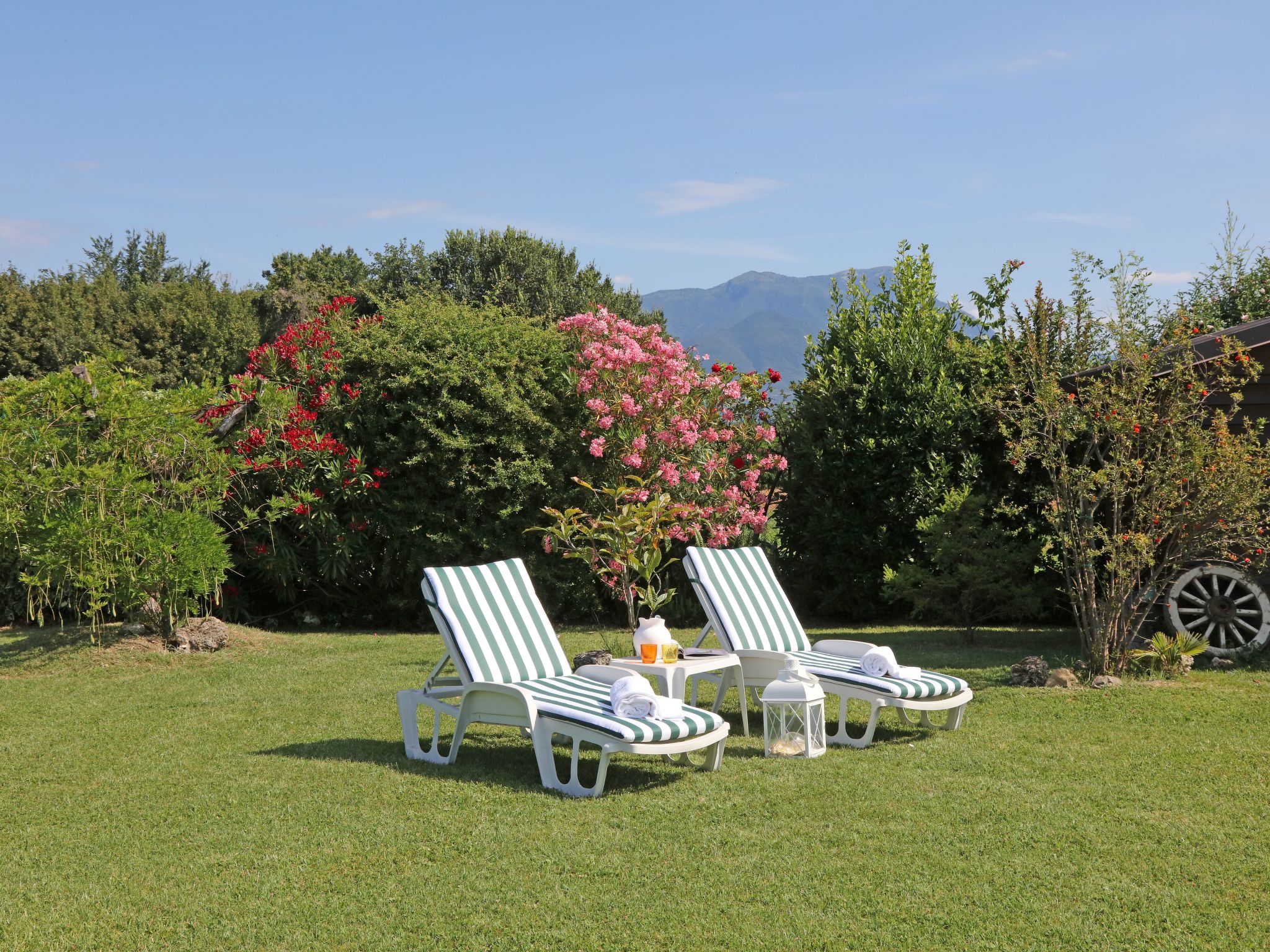 Photo of inmitten von Blumen N.2