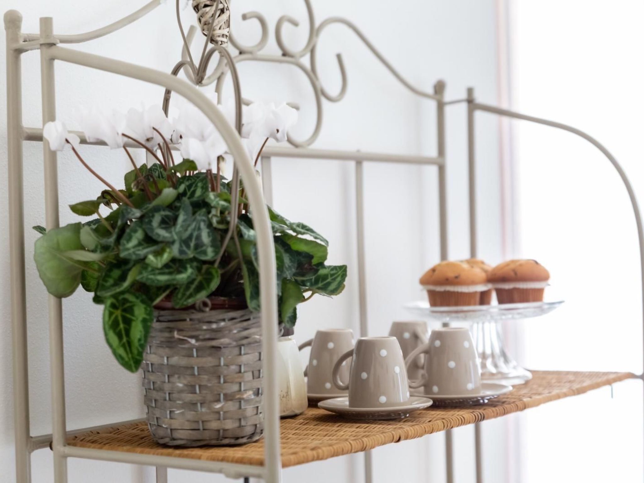 Wohnung mit Gemeinschaftspool-Image-tags.info