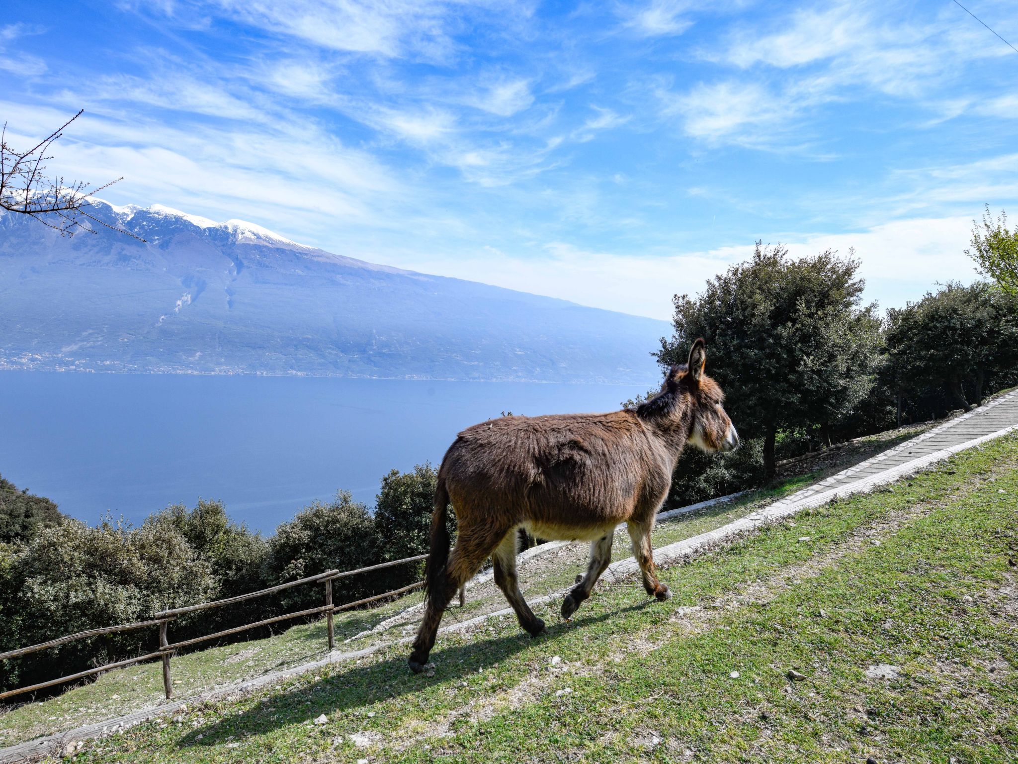 Penthouse-Wohnung-Inside