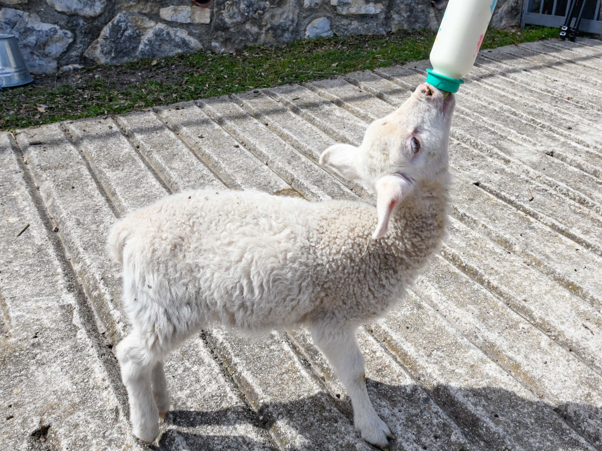 Penthouse-Wohnung-Inside