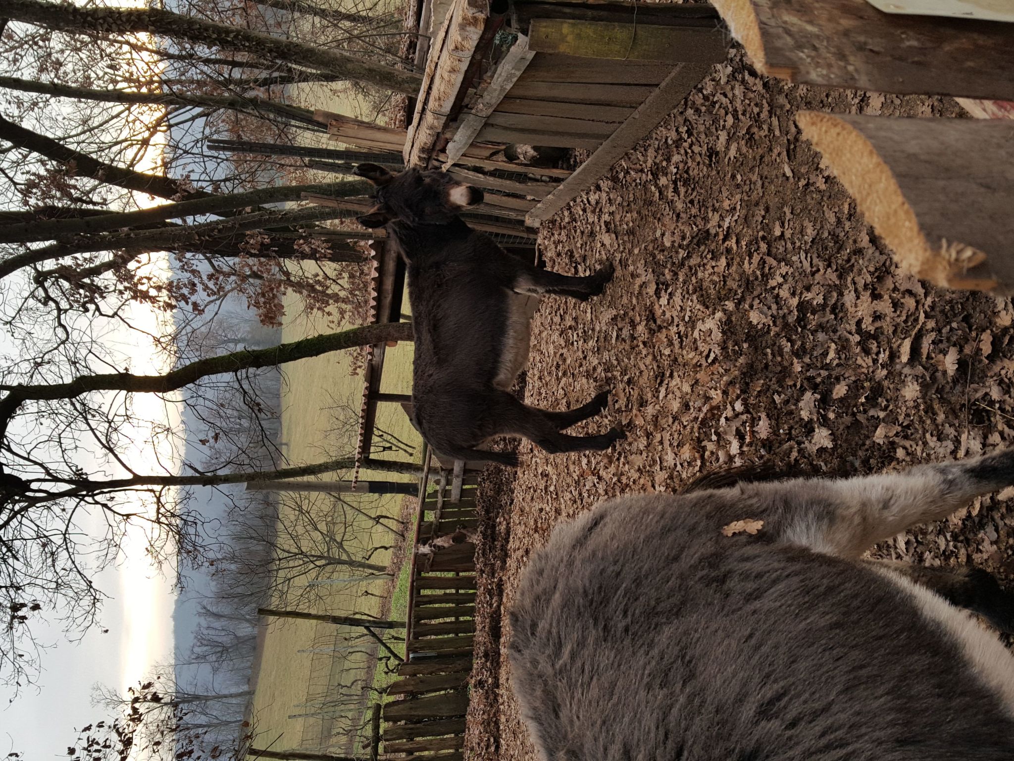 Wohnung mit Grill, Pool und Terrasse-Binnen