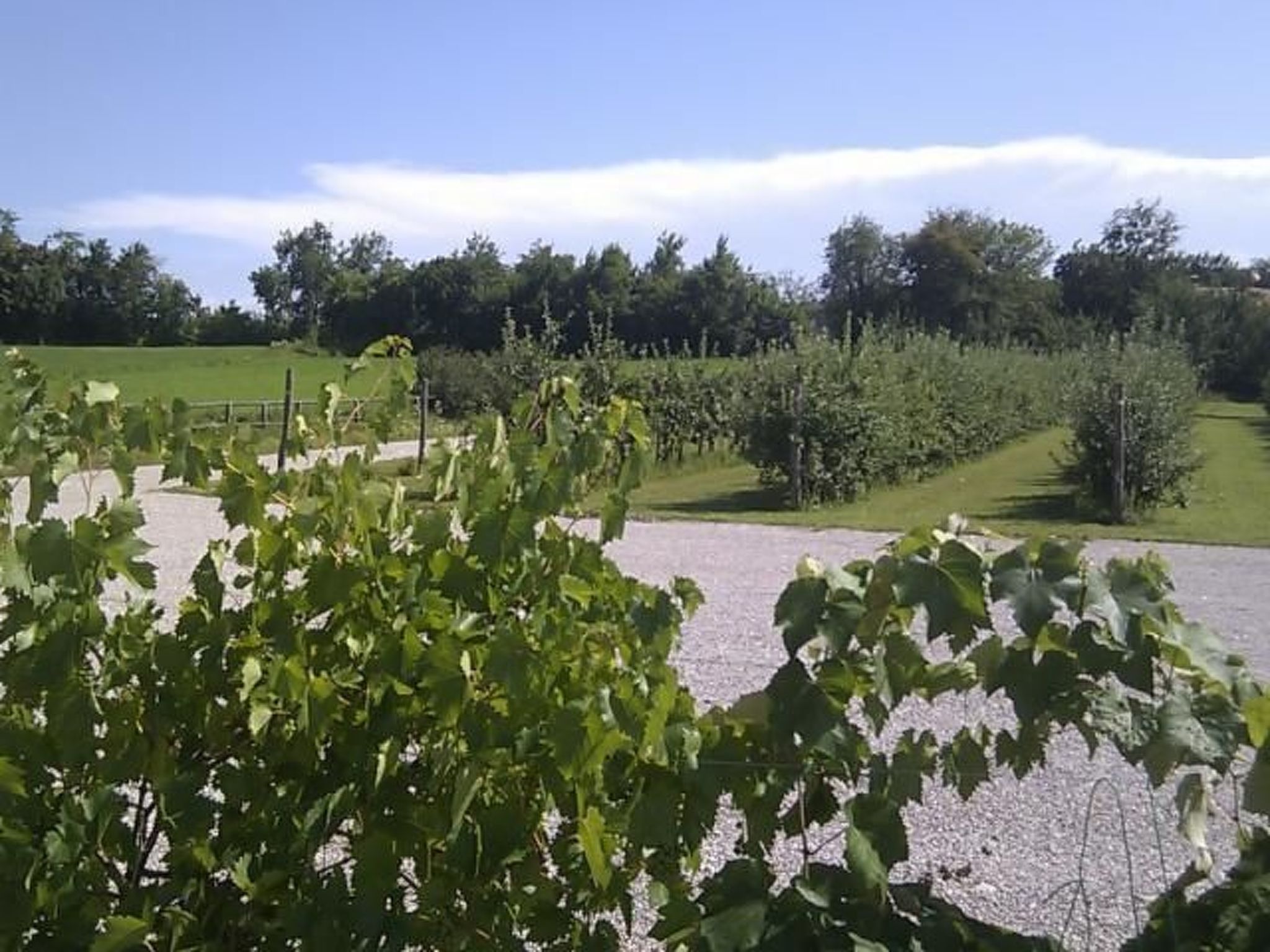 Wohnung mit Grill, Pool und Terrasse-Binnen