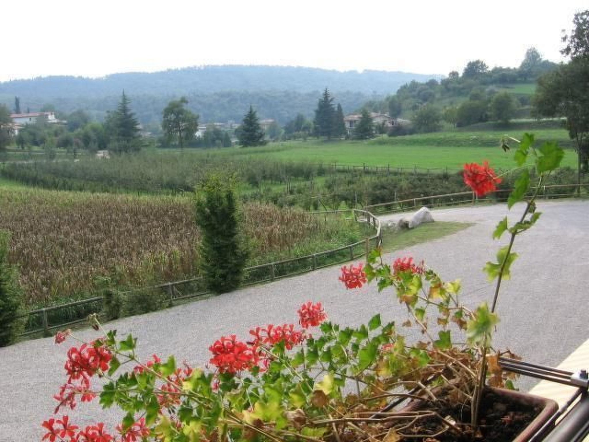 Wohnung mit Grill, Pool und Terrasse-Binnen