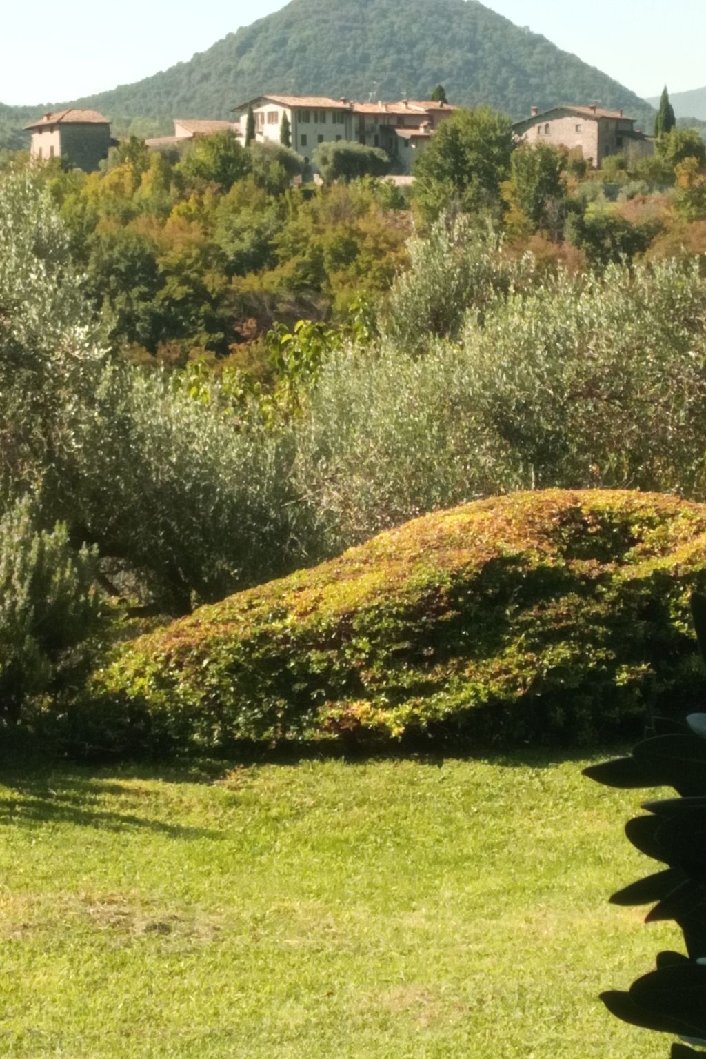 Photo of Agriturismo Renzano Garten Wohnungen