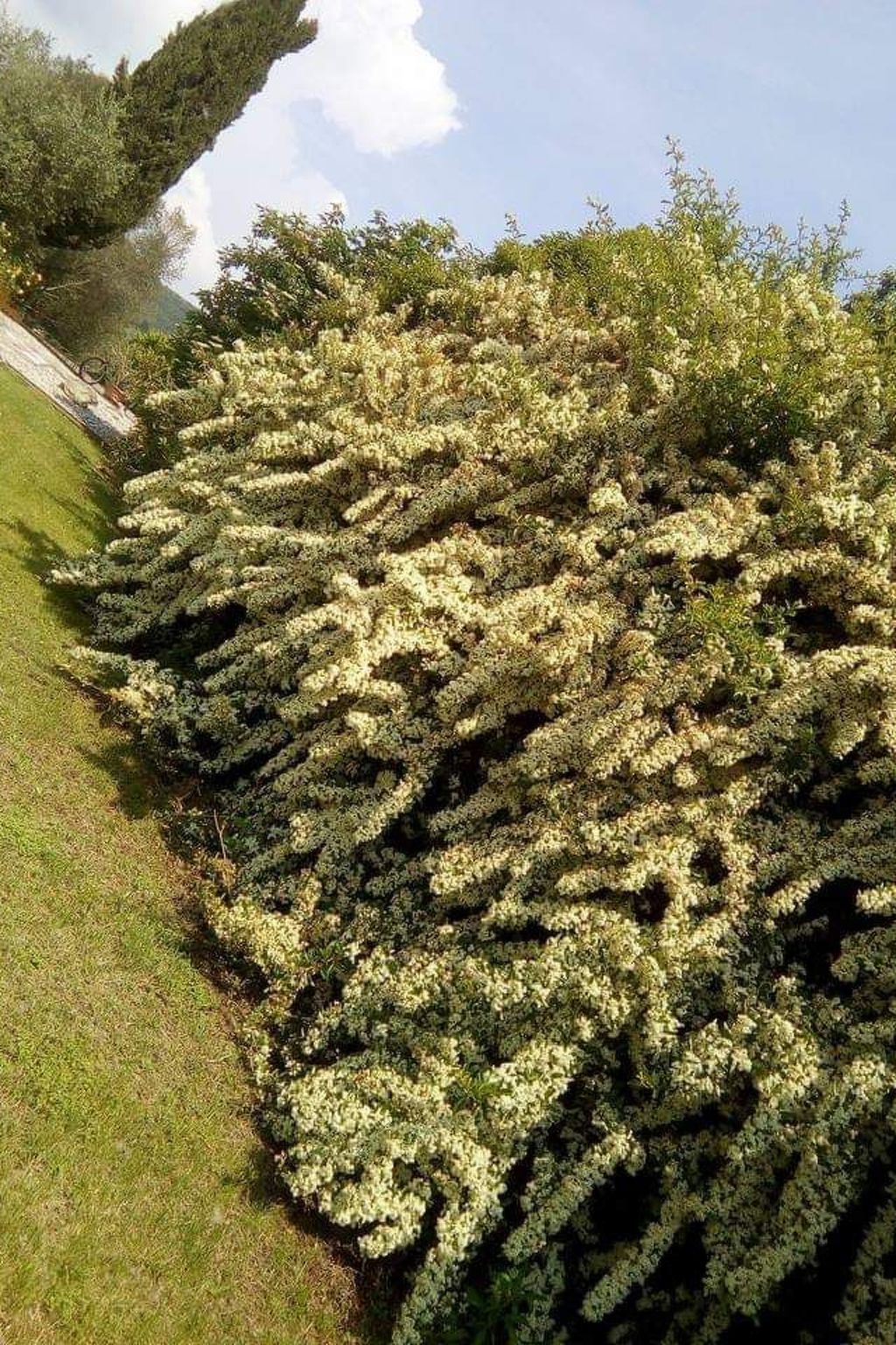 Photo of Agriturismo Renzano Garten Wohnungen