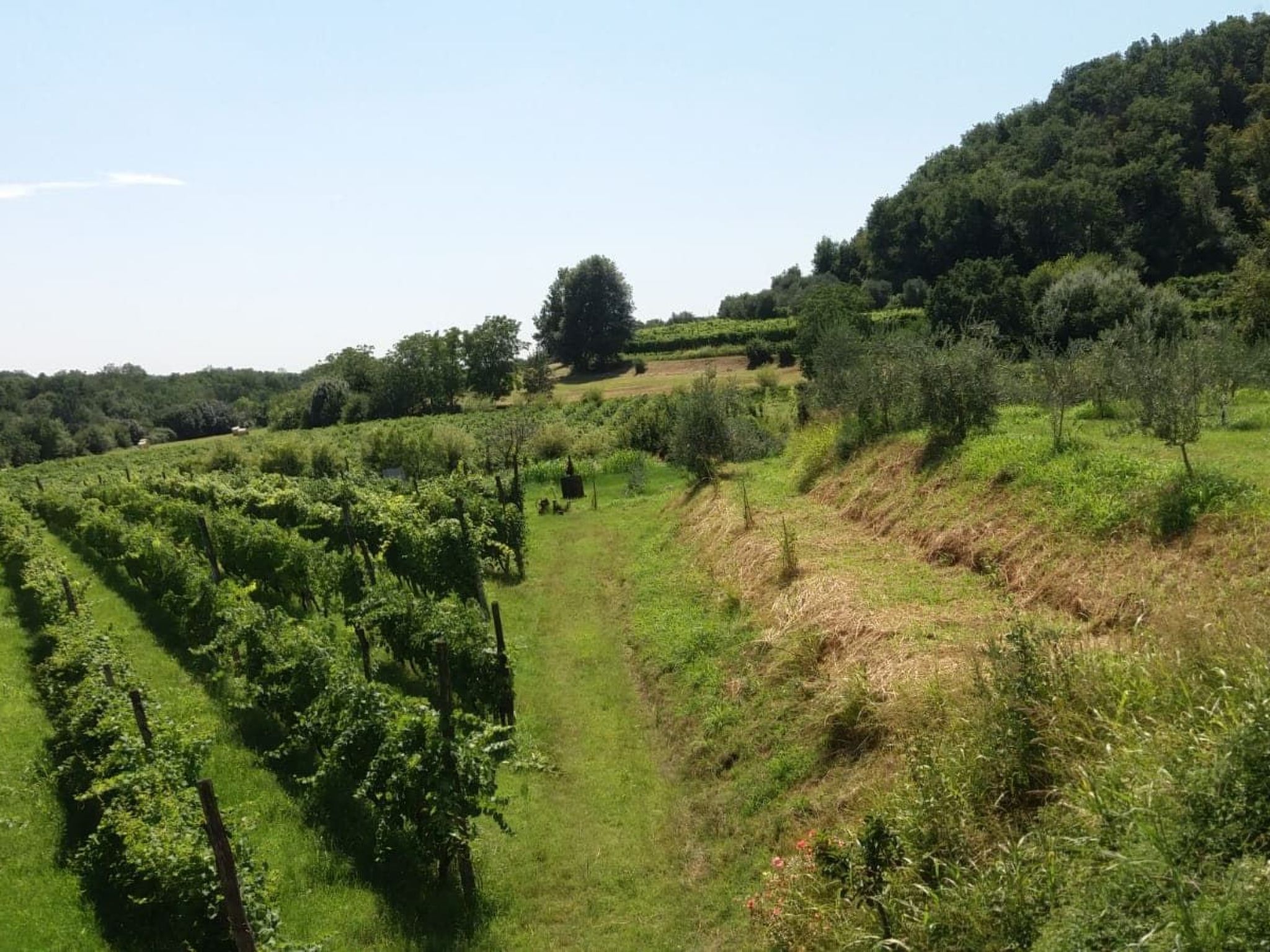Bauernhof La Bosca-Binnen