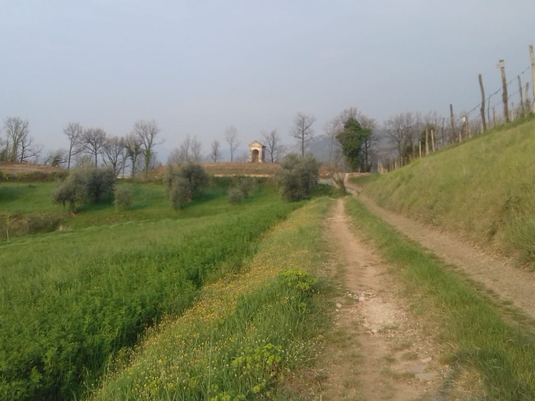 Bauernhof La Bosca-Binnen