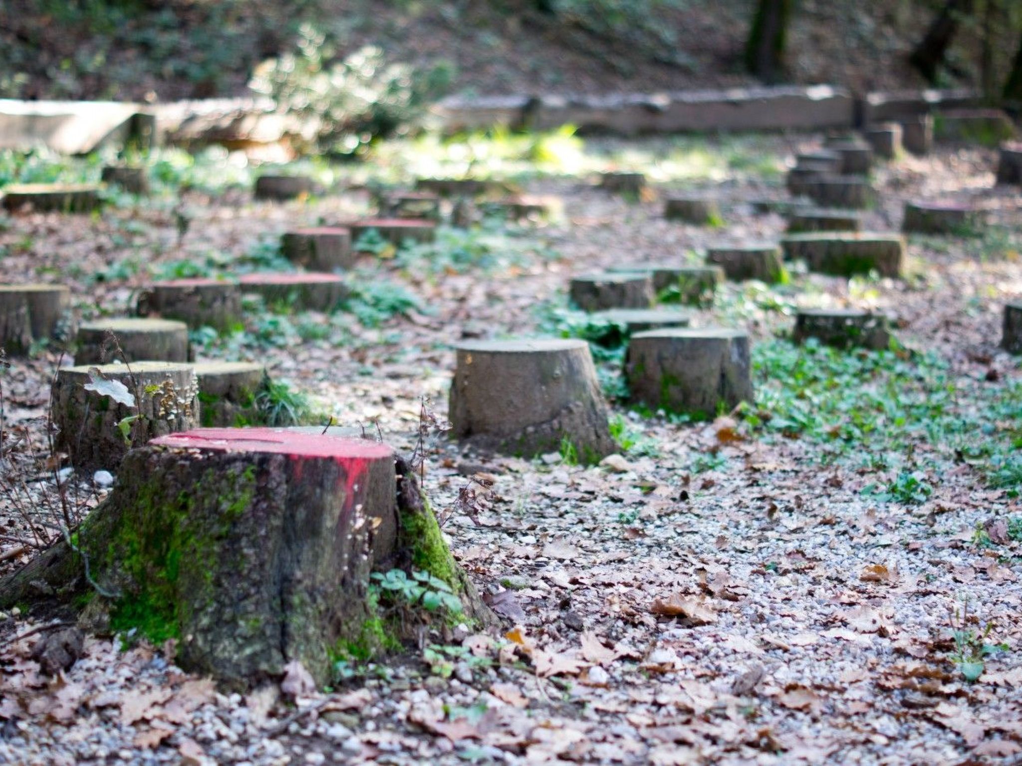 Wohnung 'Mercedes' mit Schwimmbad-Binnen