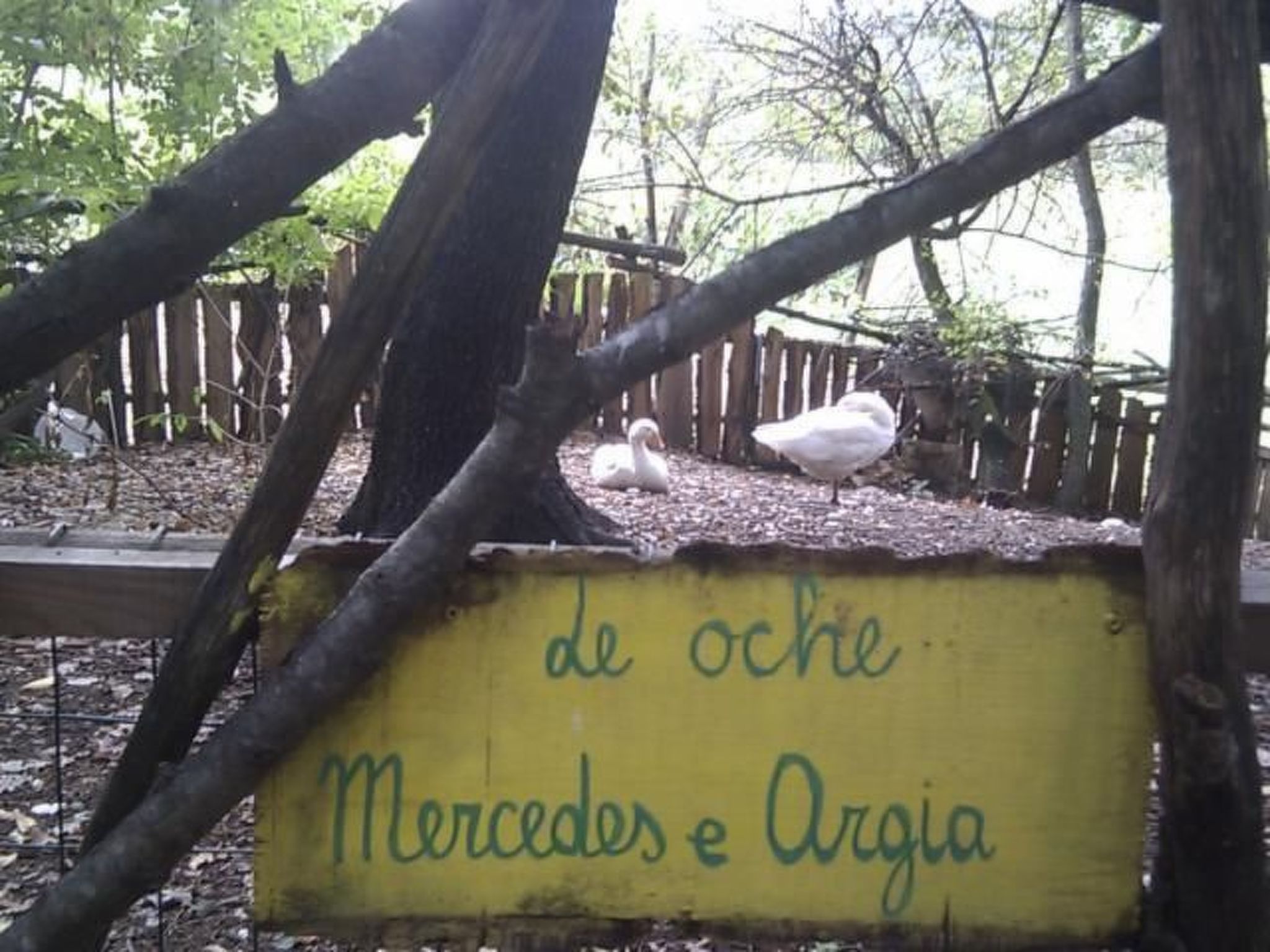 Wohnung 'Mercedes' mit Schwimmbad-Binnen