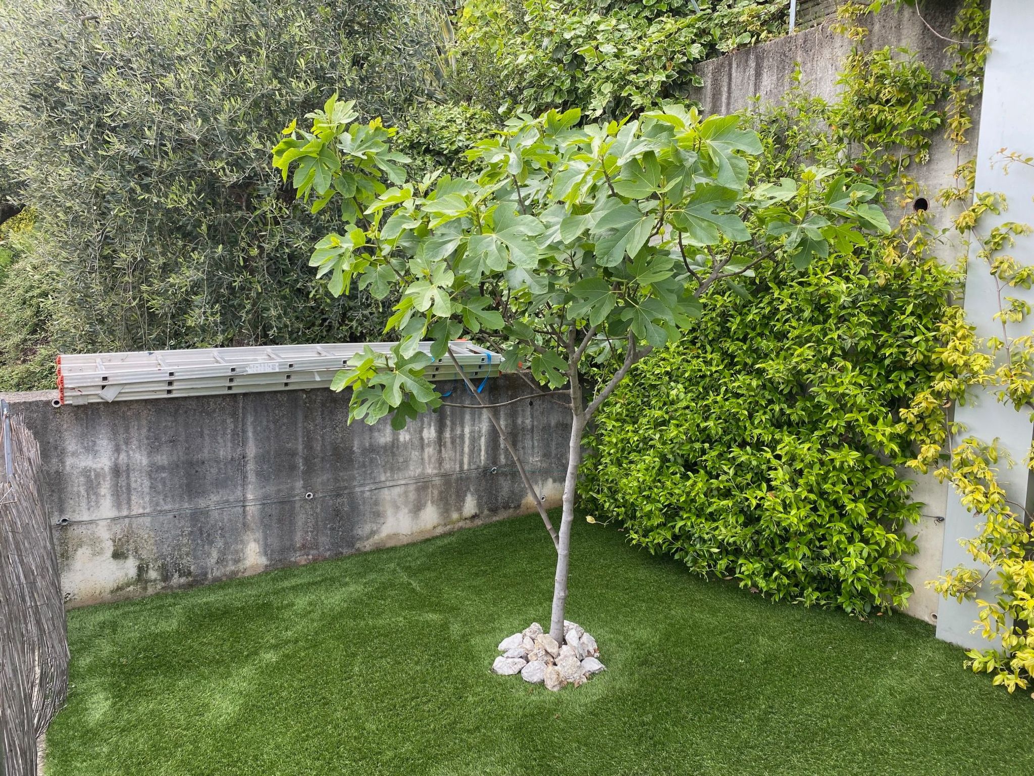 Photo of Seeblick Casa Franka