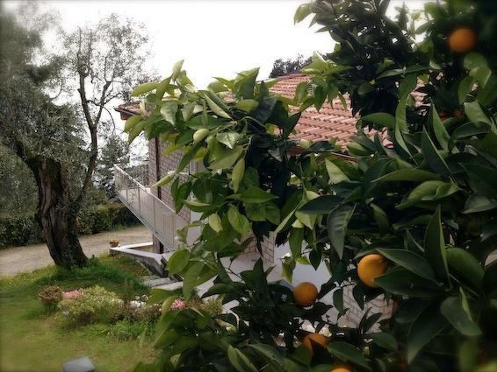 'Villa degli Ulivi-Dehors