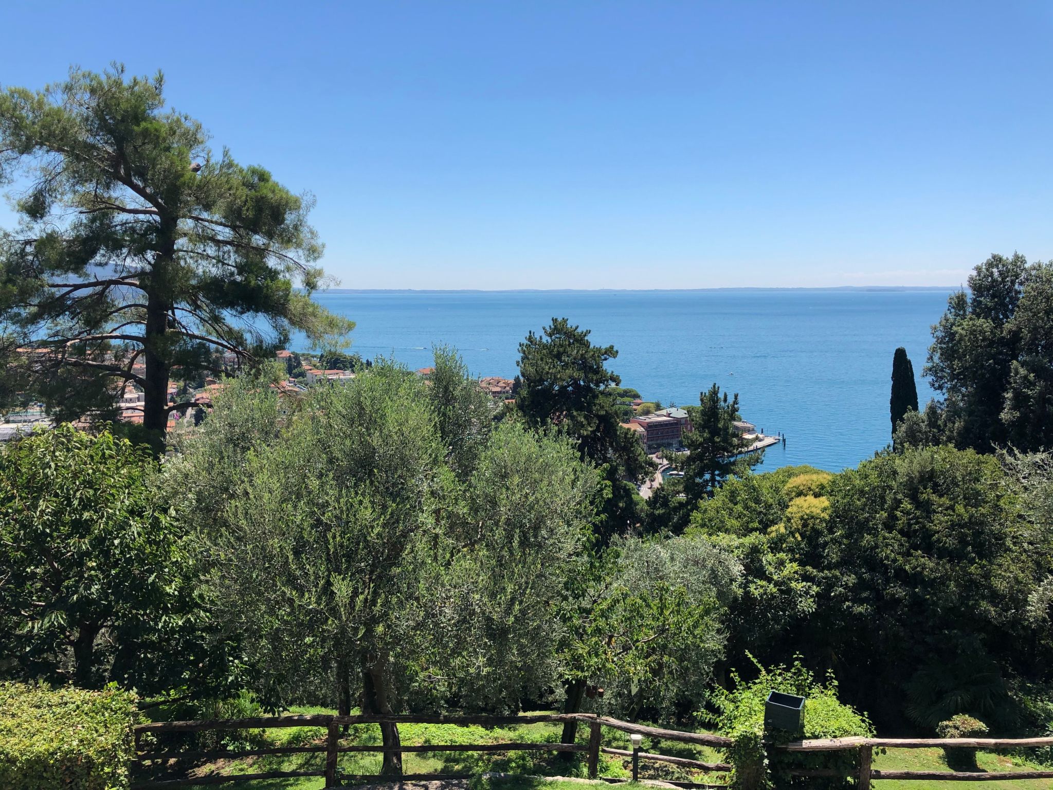 Photo of 'Villa degli Ulivi