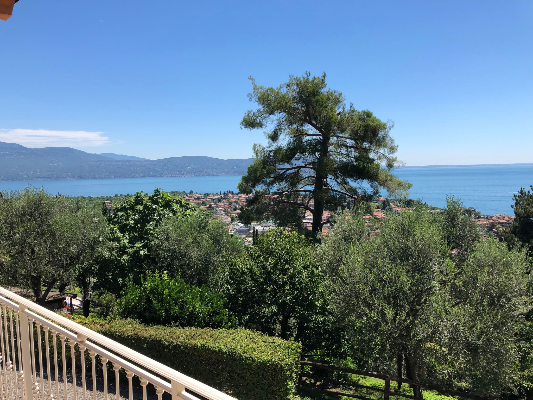 Photo of 'Villa degli Ulivi