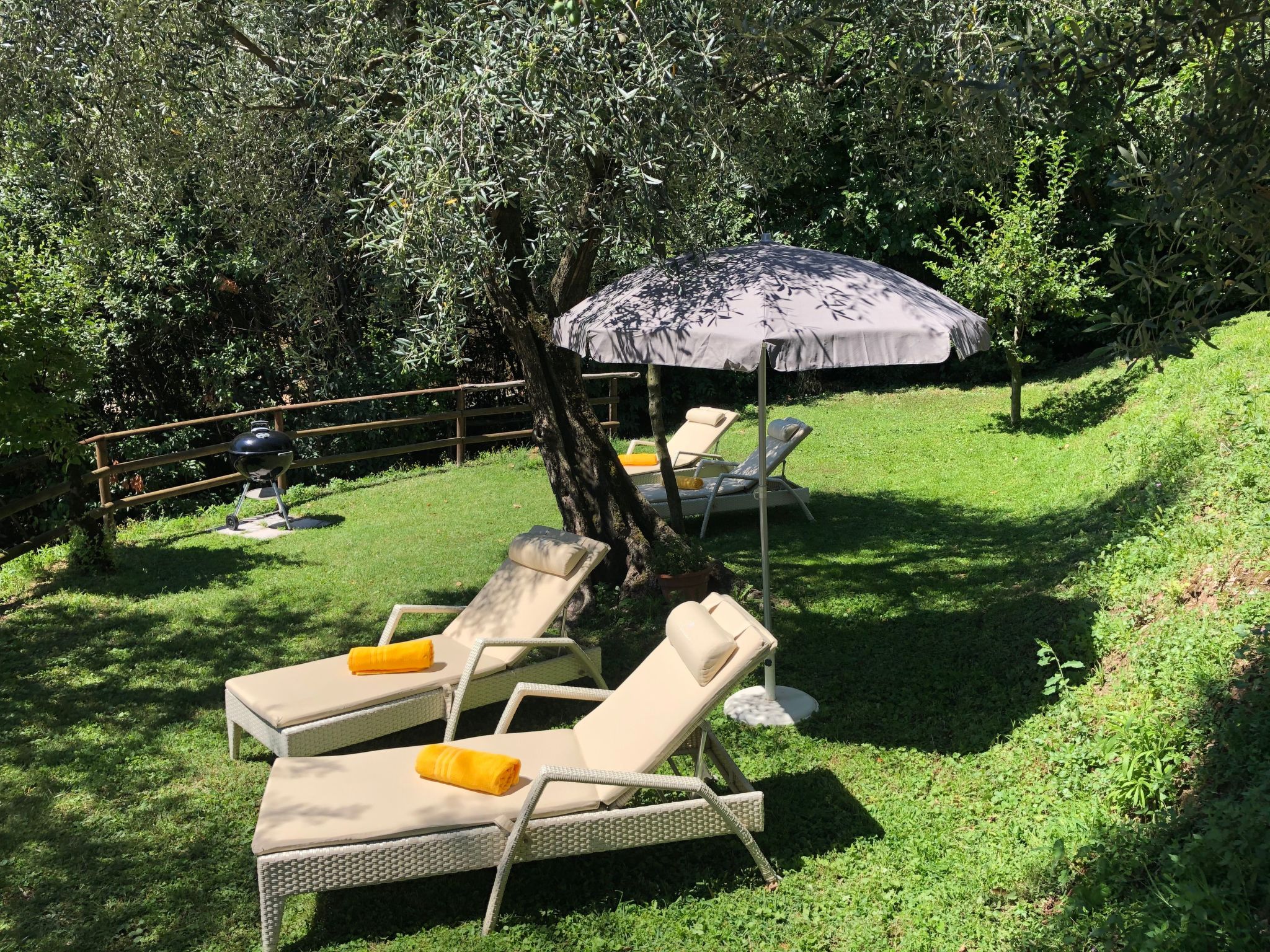 Photo of 'Villa degli Ulivi