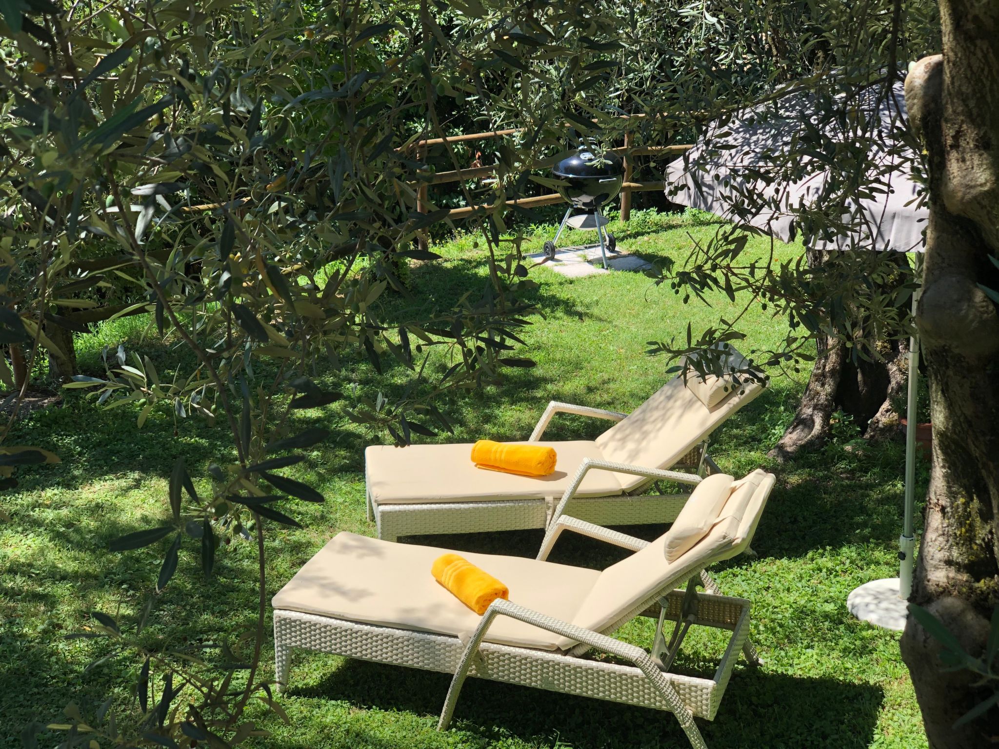 Photo of 'Villa degli Ulivi