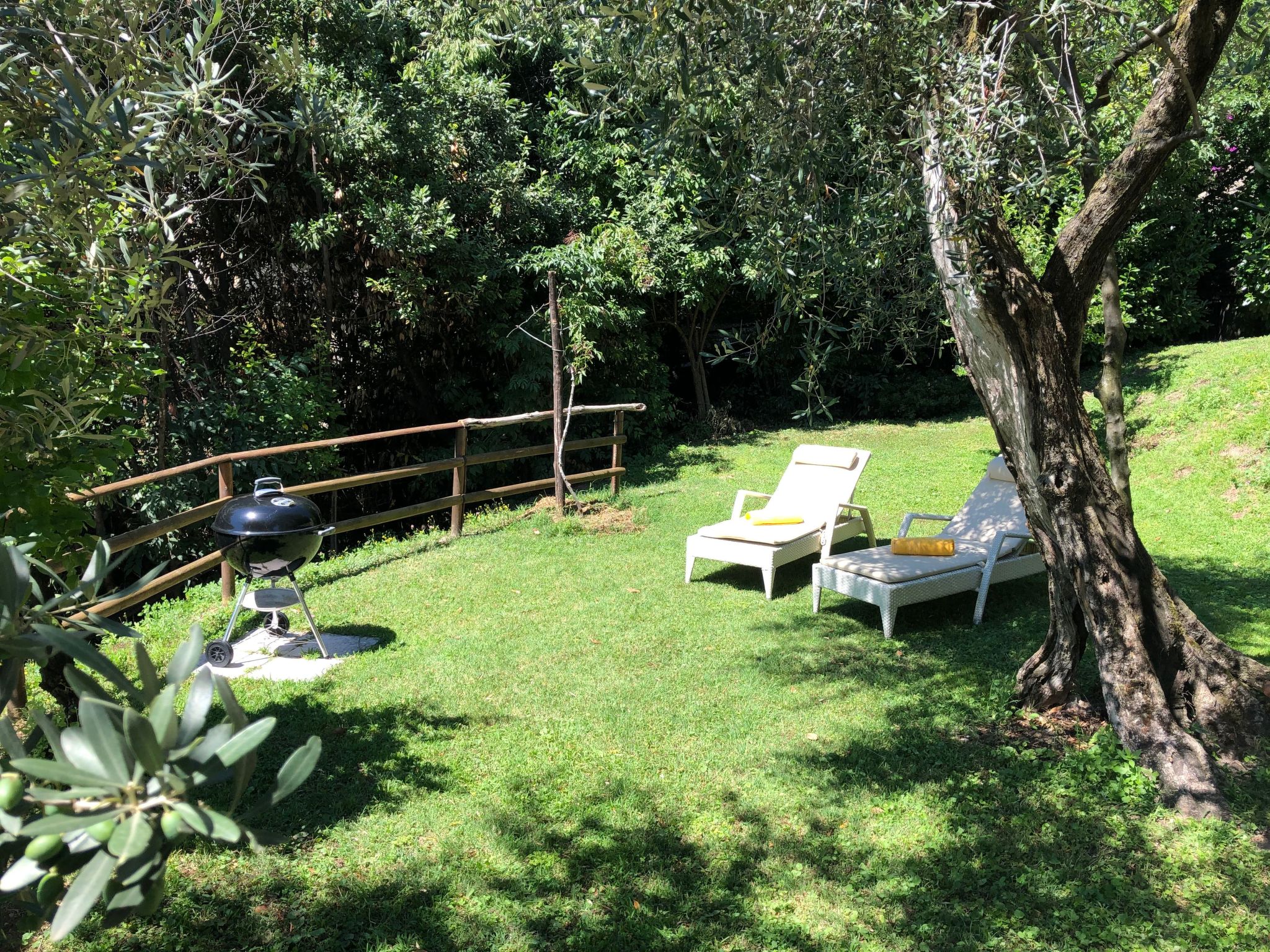 Photo of 'Villa degli Ulivi