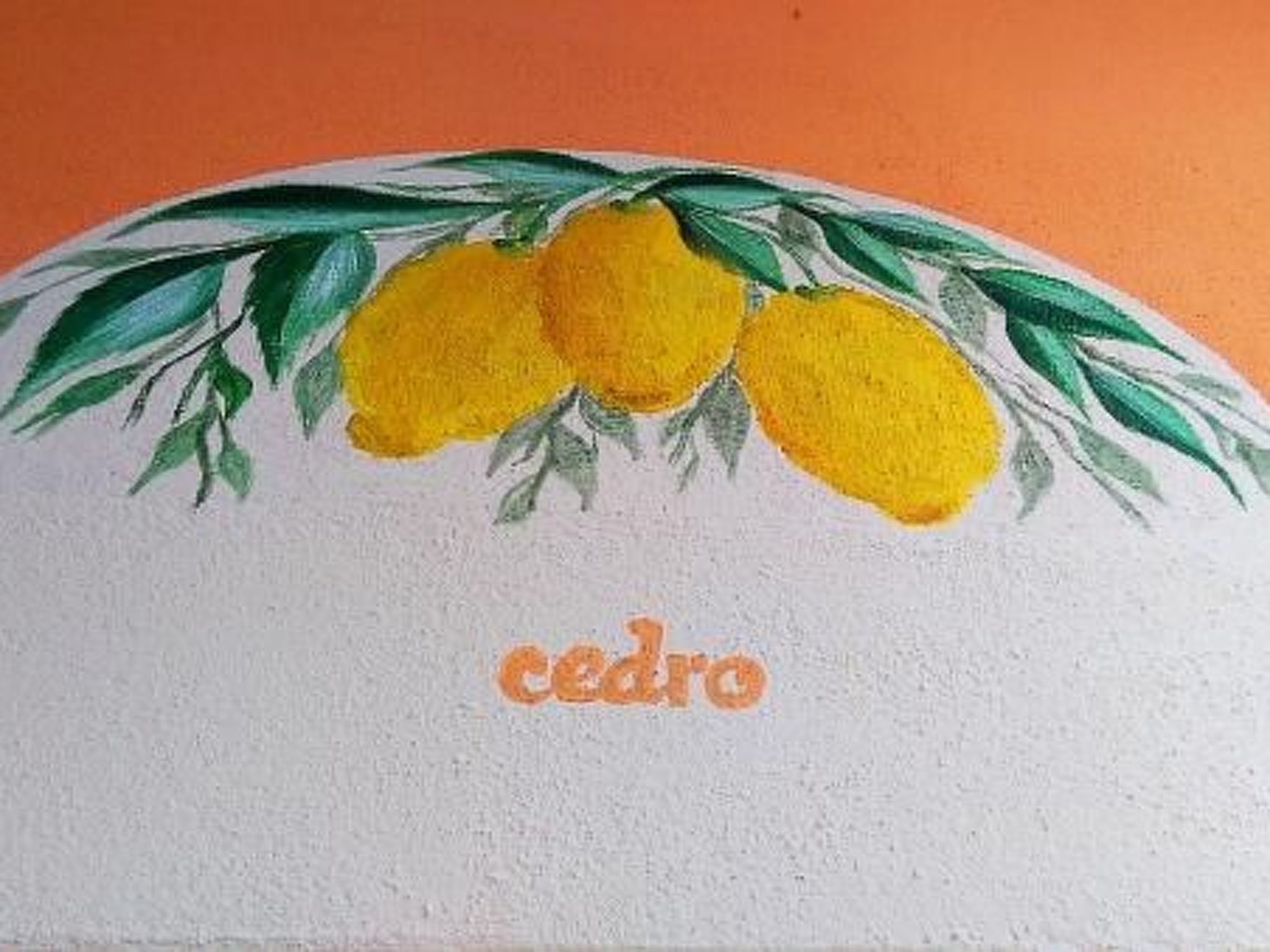 'Ca' due Olivi' mit eigener Terrasse-Binnen