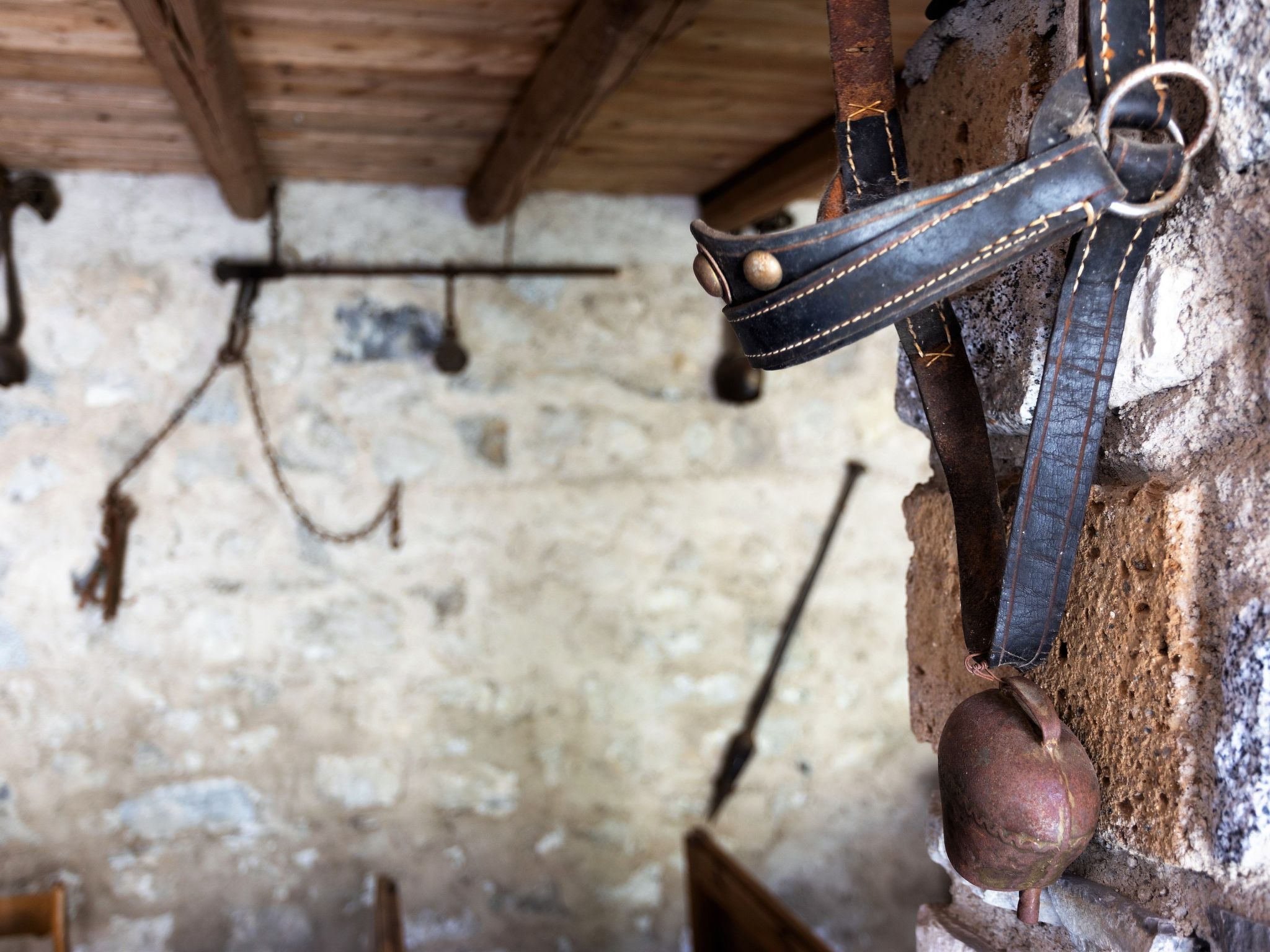 'Casa Rita 2-Image-tags.info