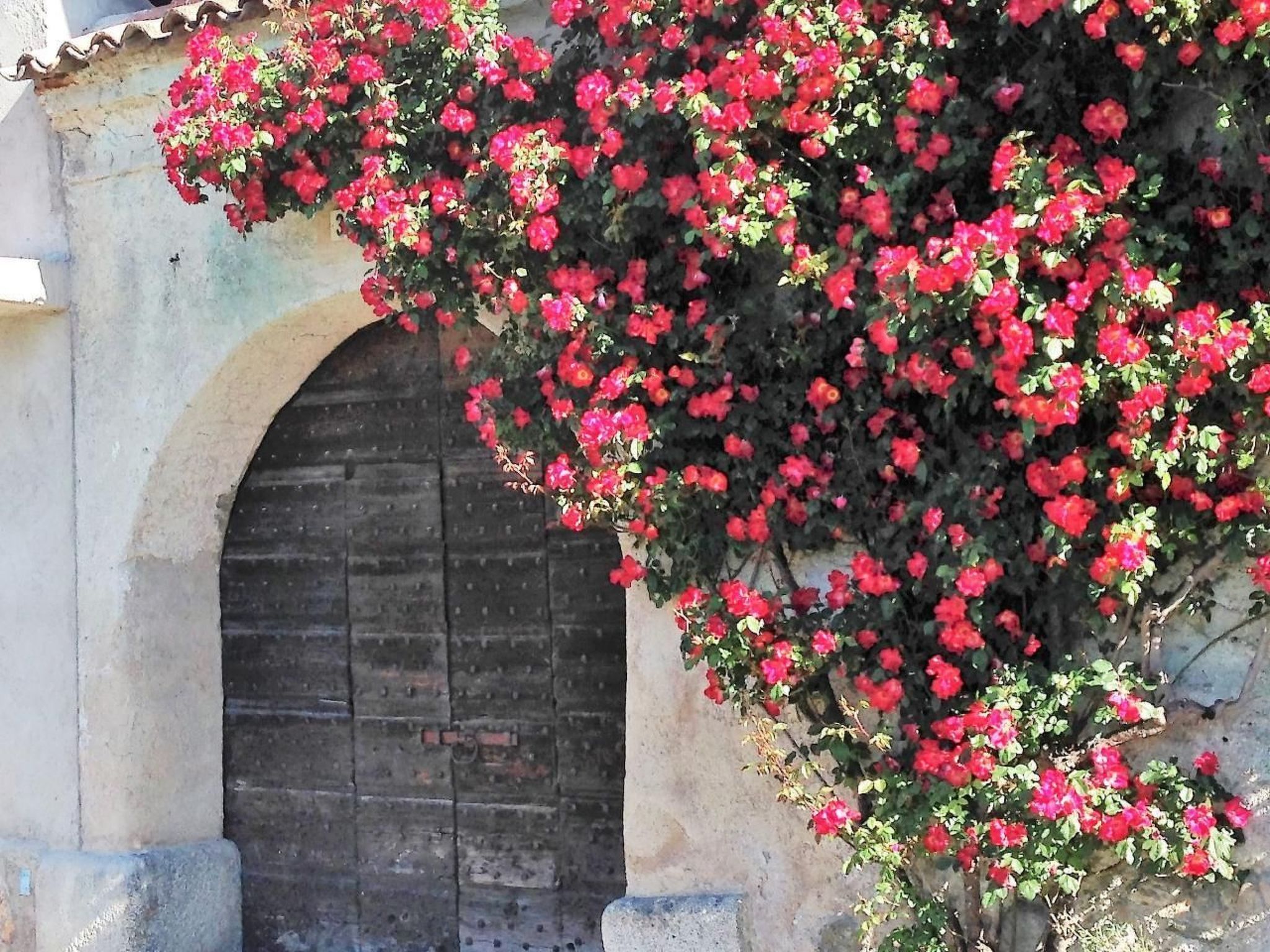 Antica Corte Ginevra-Ap.Lancillotto Gardasee-Image-tags.info