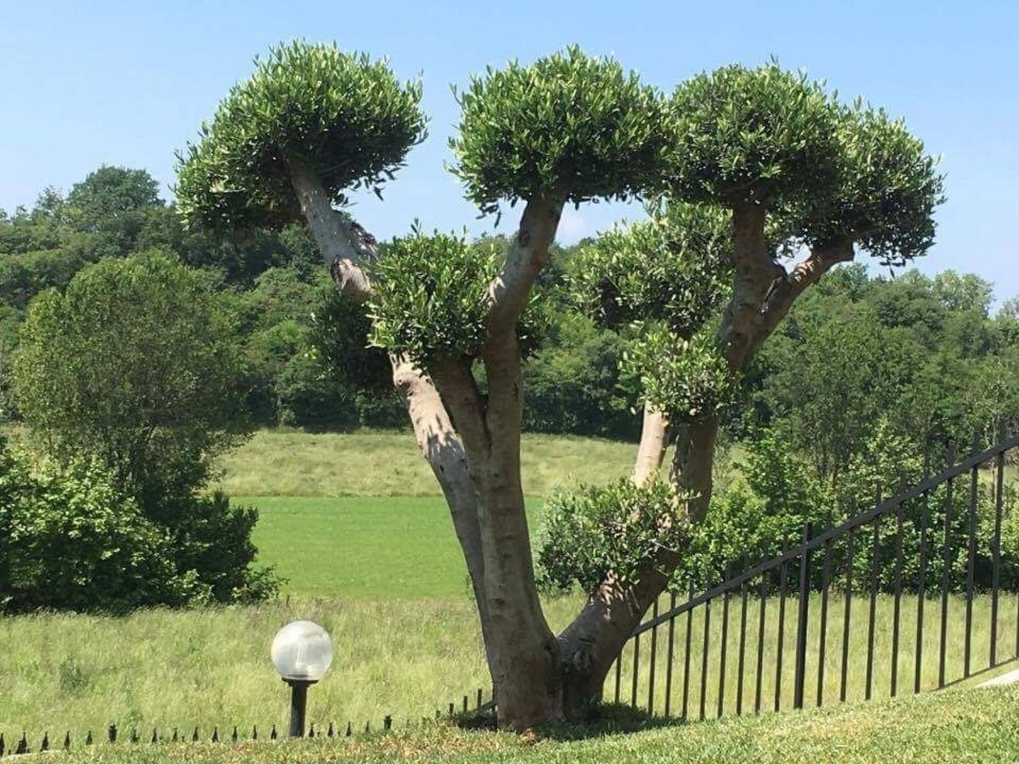 Ferienvilla 'Villa Panoramica-Image-tags.info