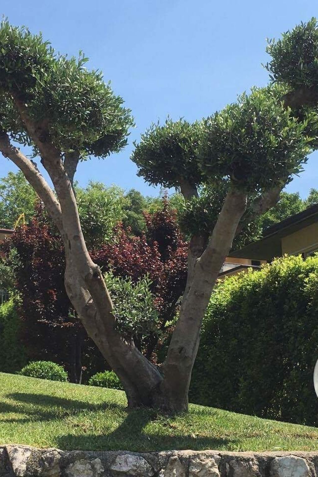 Ferienvilla 'Villa Panoramica-Image-tags.info