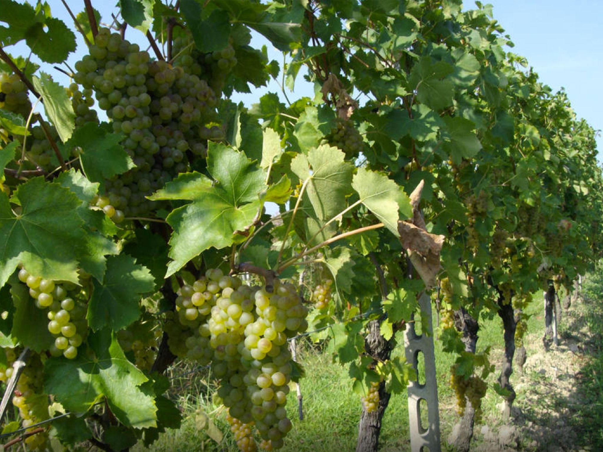 "Cascina Tabachera-Draußen