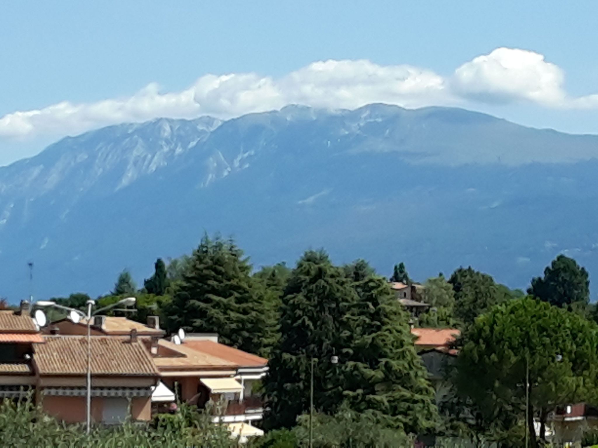 Piccola Perla - Image-tags.info