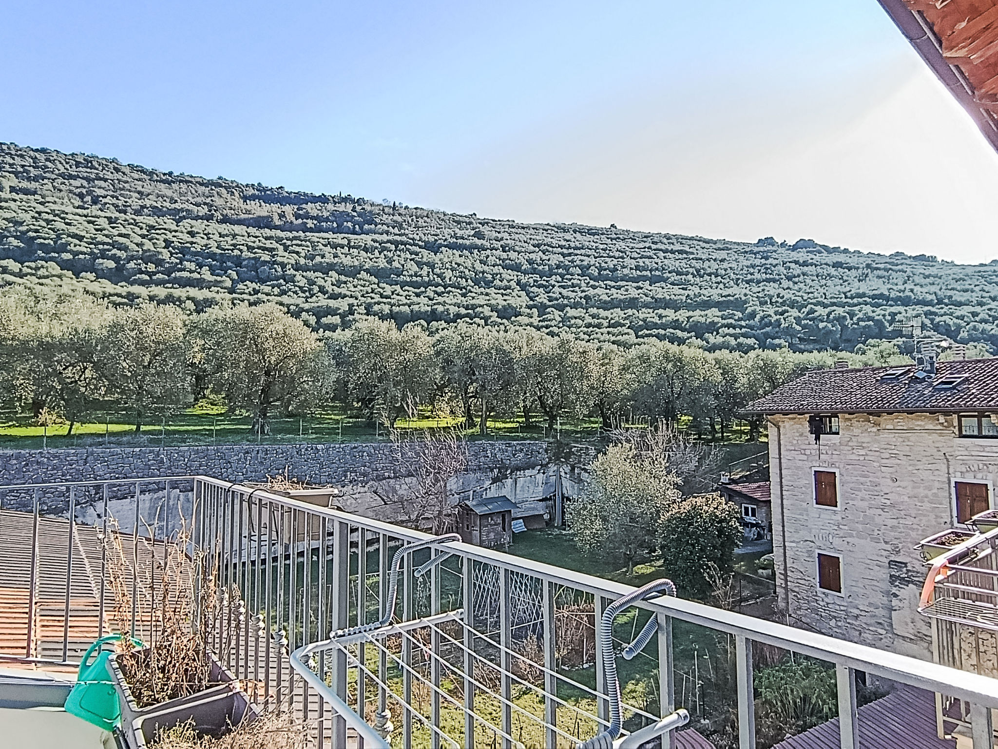 Tra gli Ulivi-Buiten