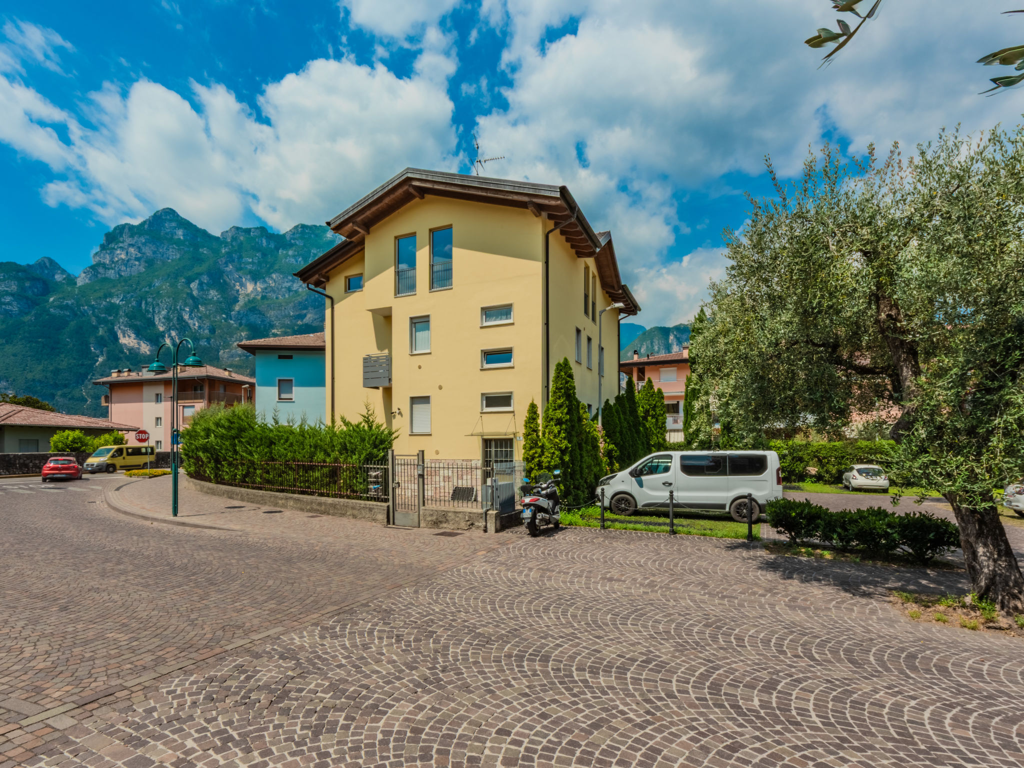 Photo of Riva Olive