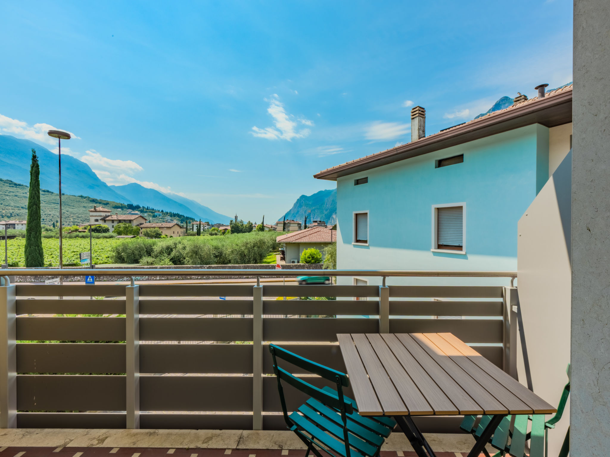 Riva Olive - Image 5