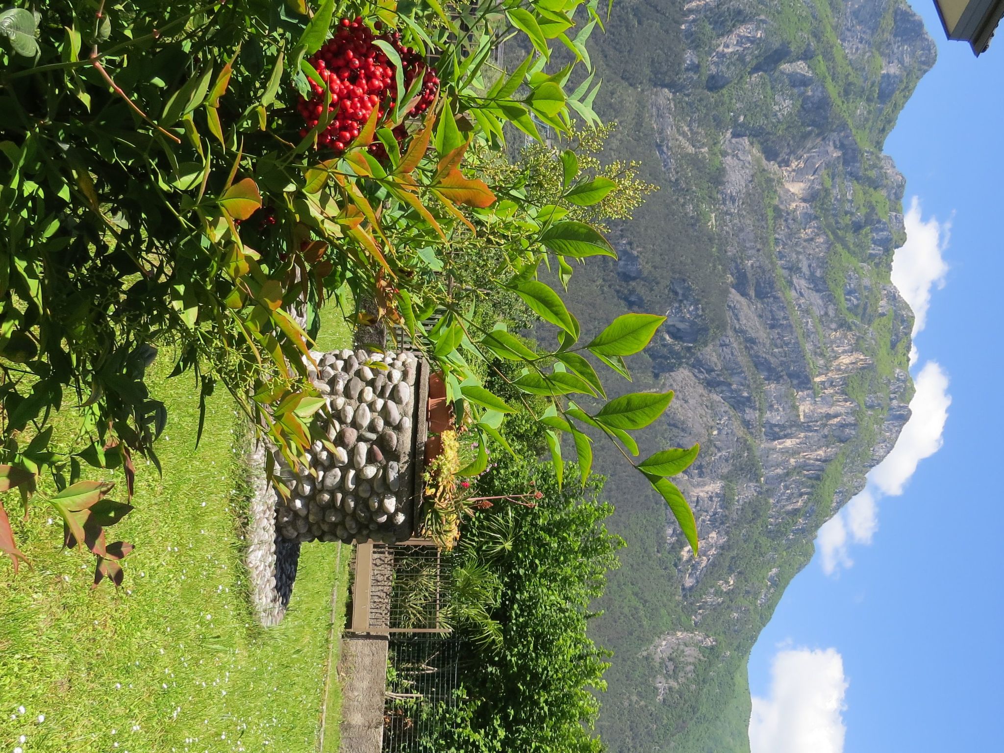 Villa im Grünen in Riva del Garda mit Garten-Inside