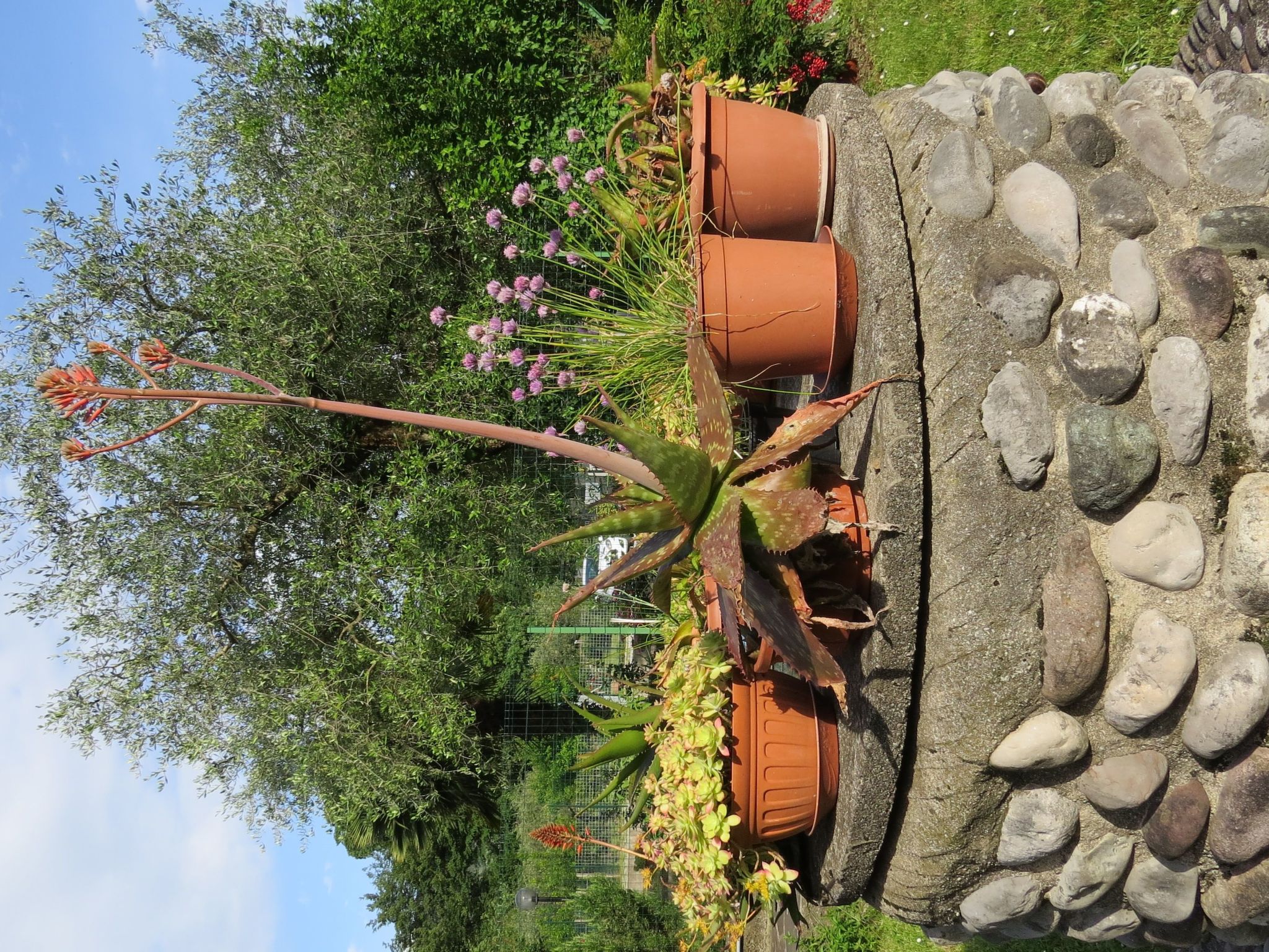 Villa im Grünen in Riva del Garda mit Terrasse-Dedans