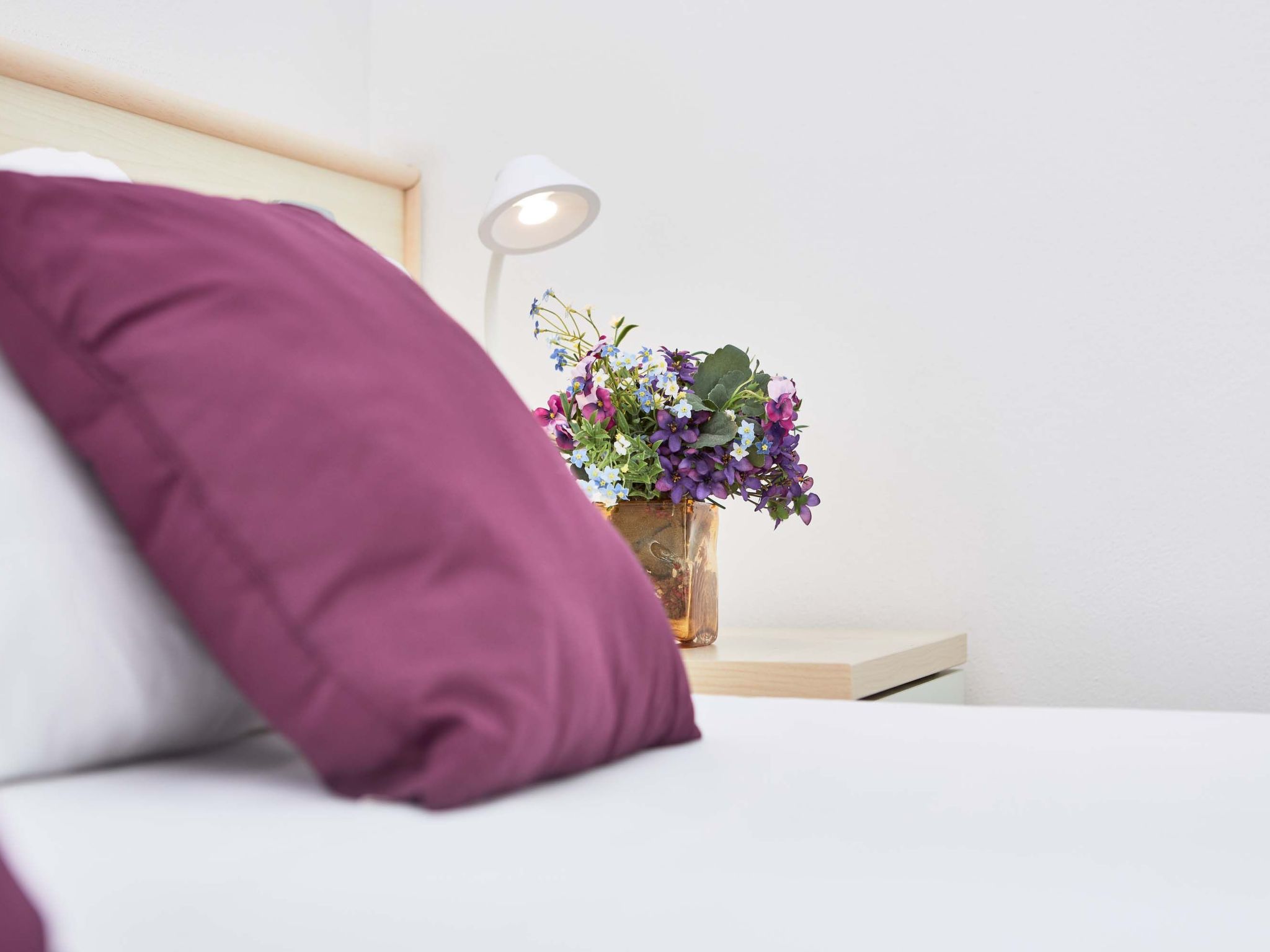 Familienwohnung mit Balkon BV2-Inside