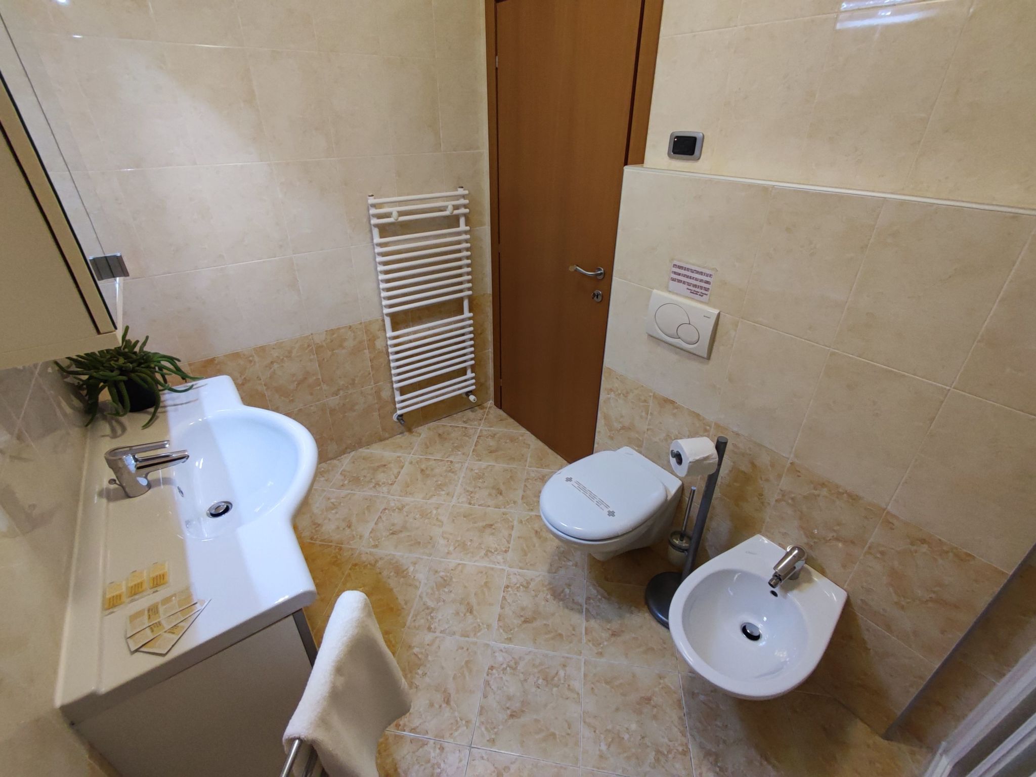 Komfort-Apartment mit Balkon BV1-Inside