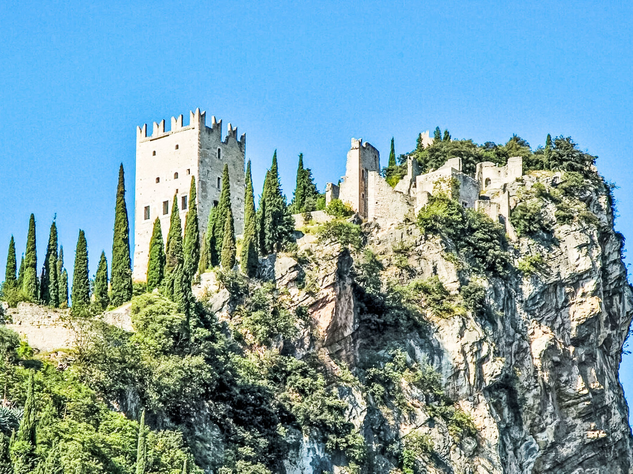 Nespolo-Area