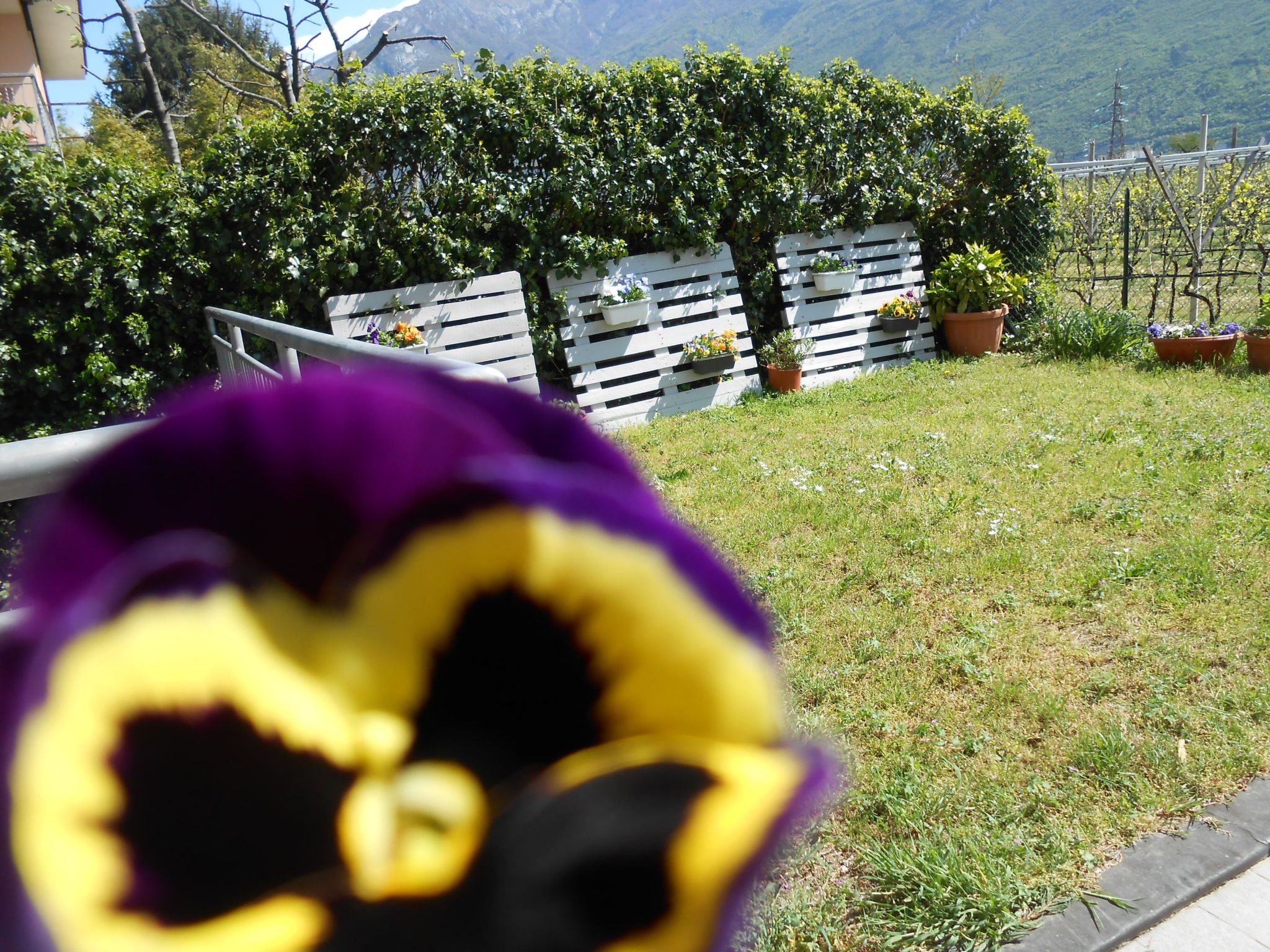 Casa Padronale nähe Arco-Dedans