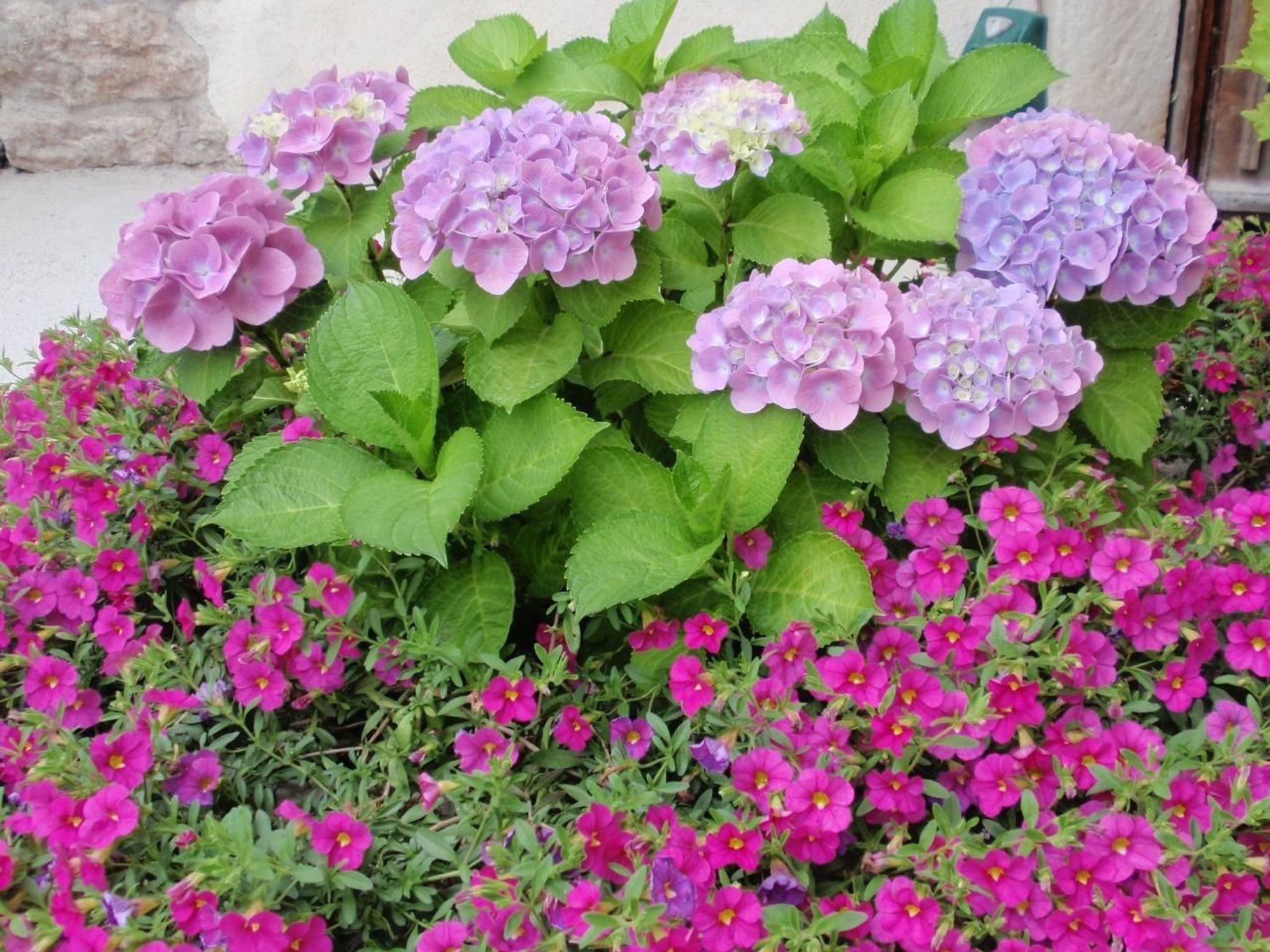 Traumhafter Rustico direkt am Ufer des Gardasees-Binnen