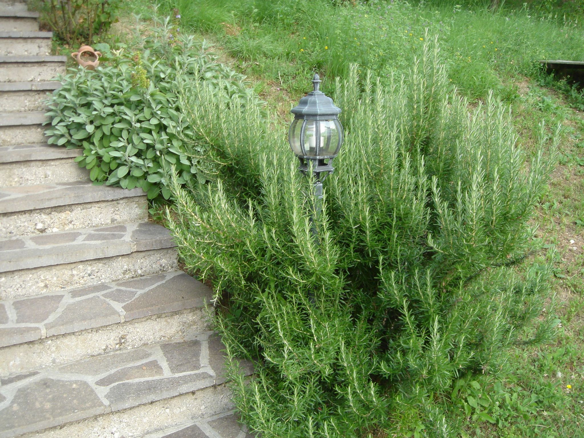 Wohnung "Zanetti" mit Seeblick