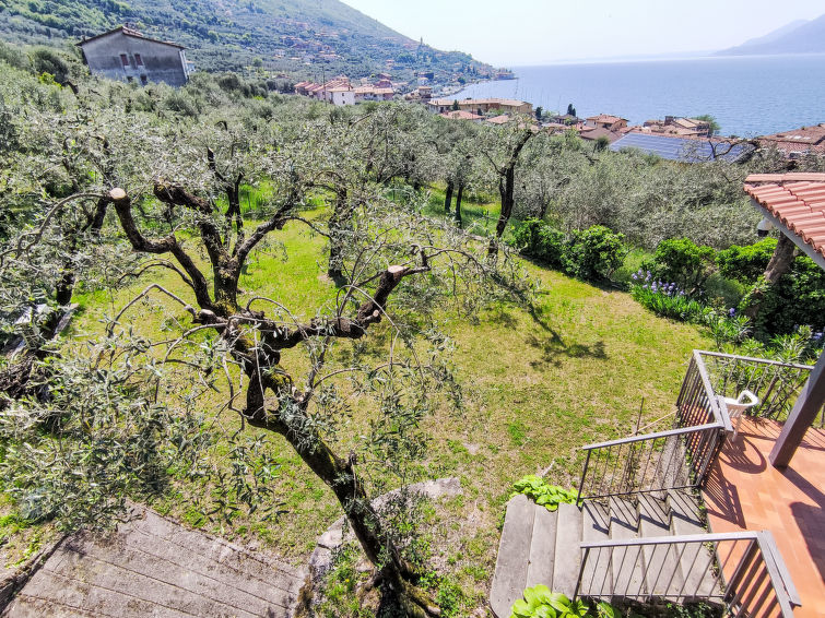 Photo of Papandrea