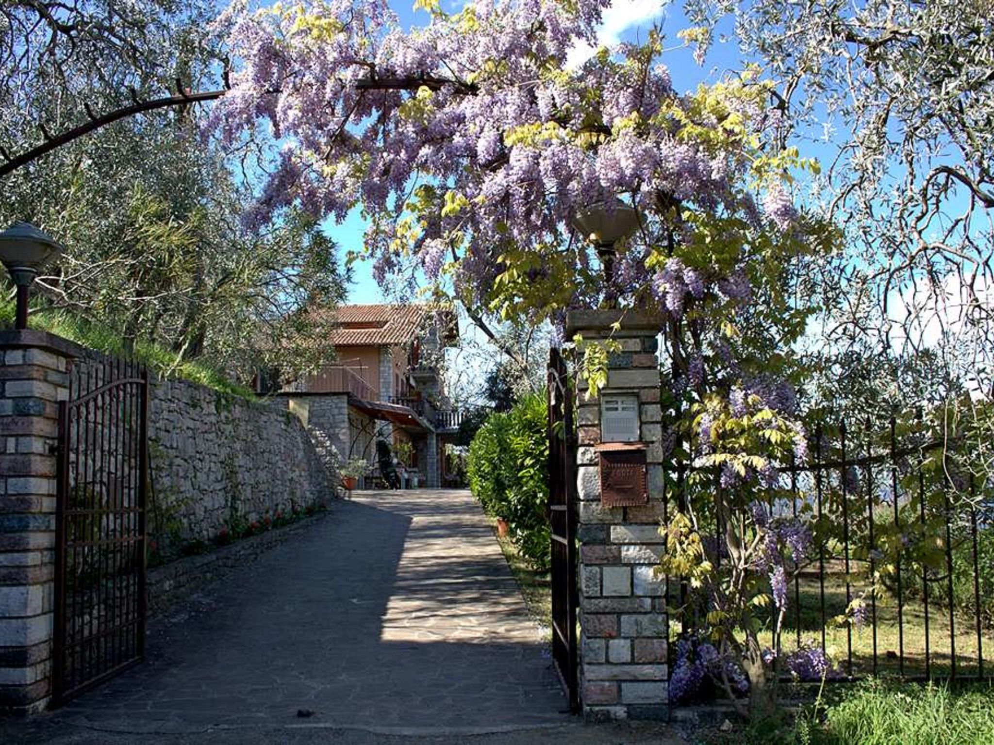 Wohnung mit schönem Garten