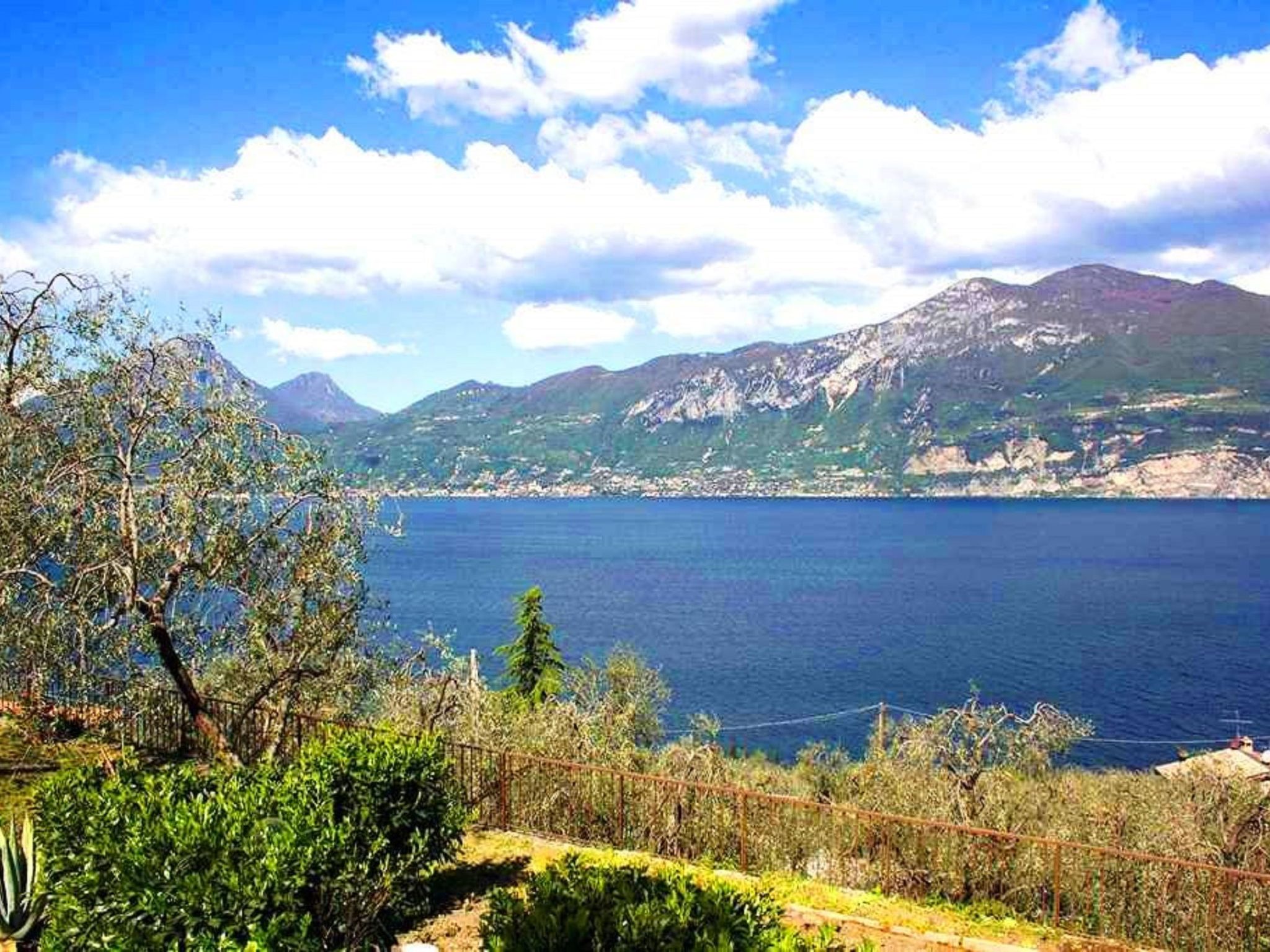 Wohnung mit schönem Garten