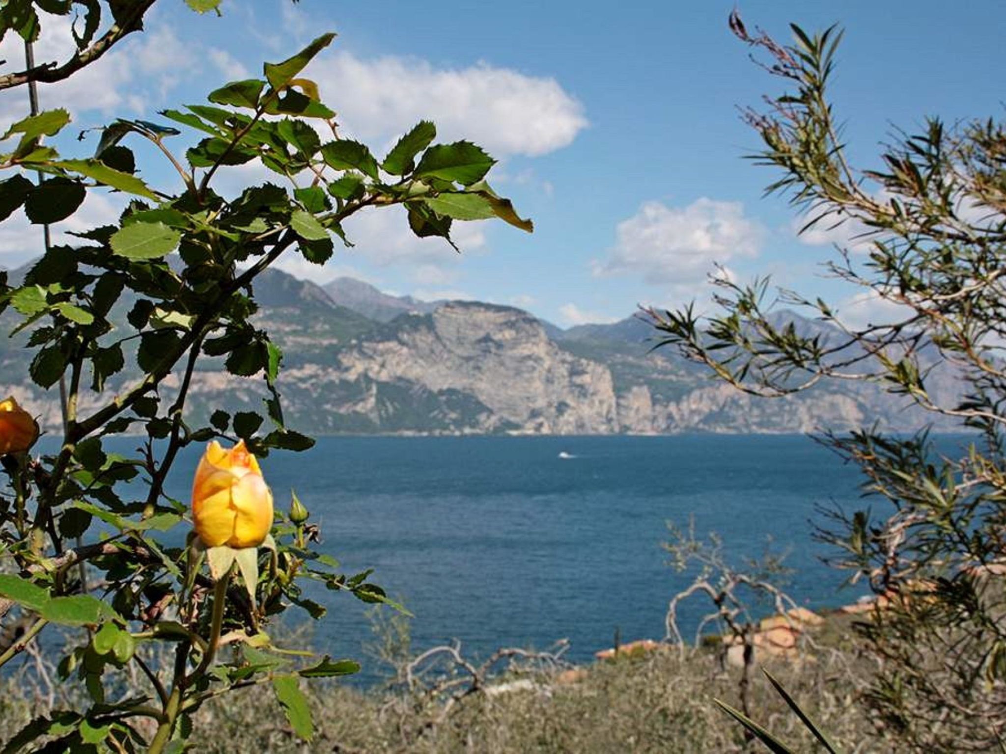 Wohnung mit schönem Garten-Dedans