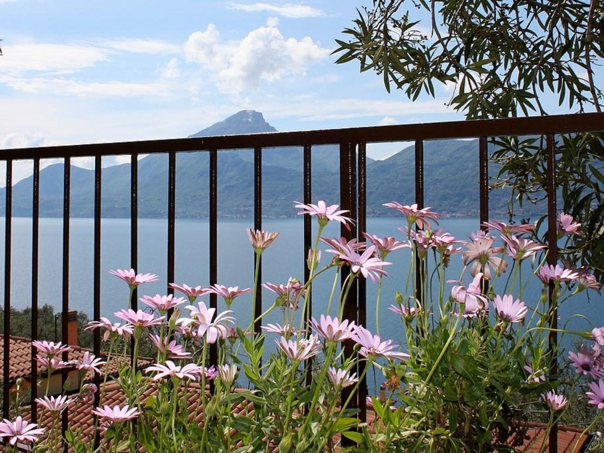 Wohnung mit schönem Garten-Dedans